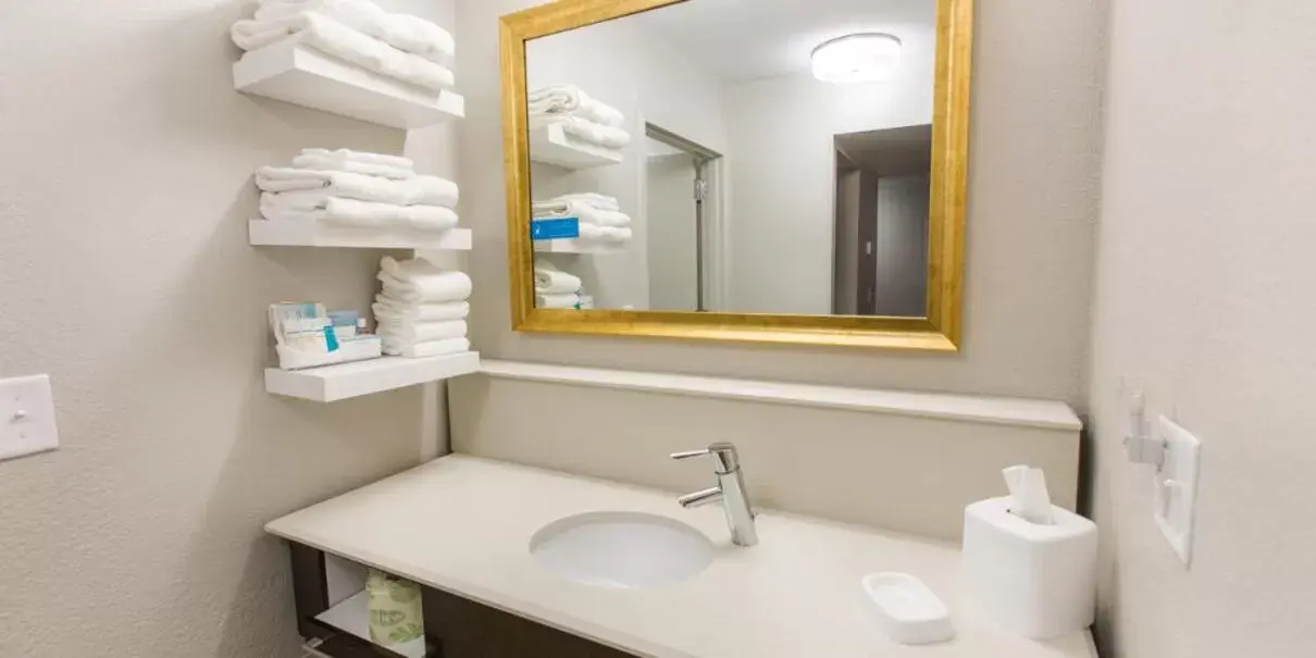 Bathroom in Hampton Inn & Suites Nashville-Airport