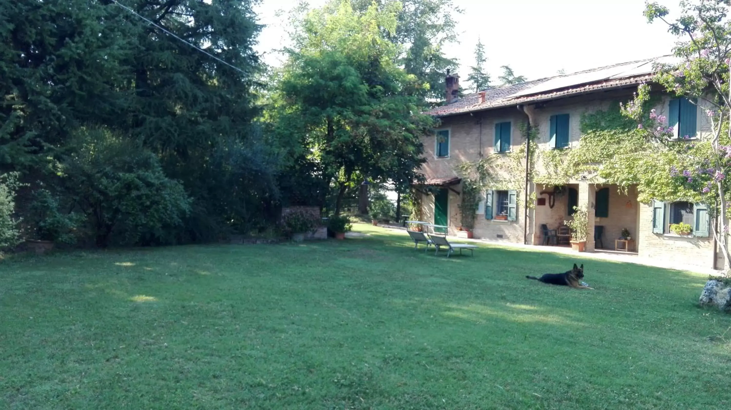 Garden, Property Building in Casina Belvedere