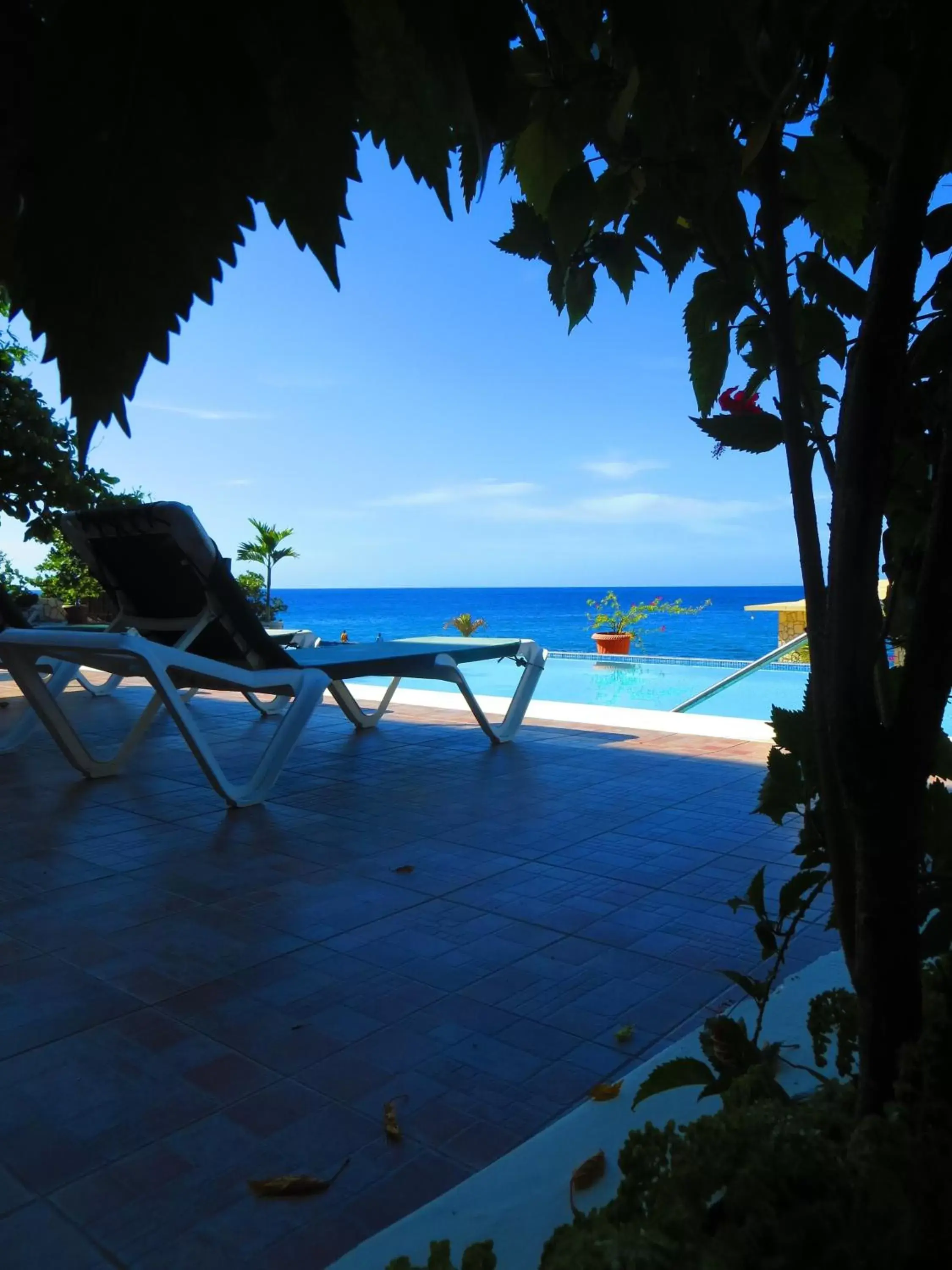 Balcony/Terrace, Swimming Pool in Le Mirage