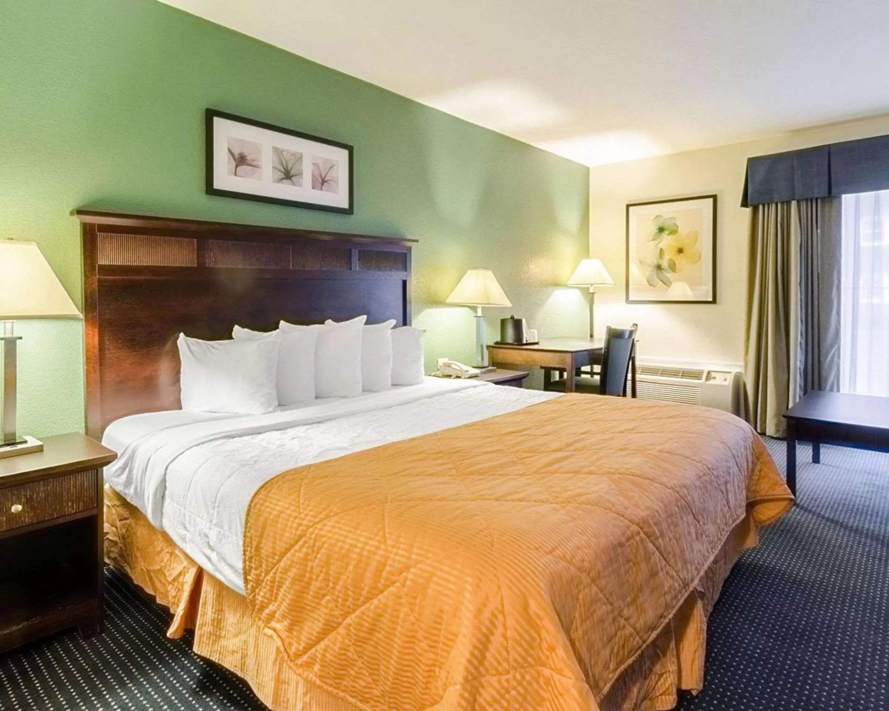 Photo of the whole room, Bed in Rodeway Inn & Suites Williamsburg Central