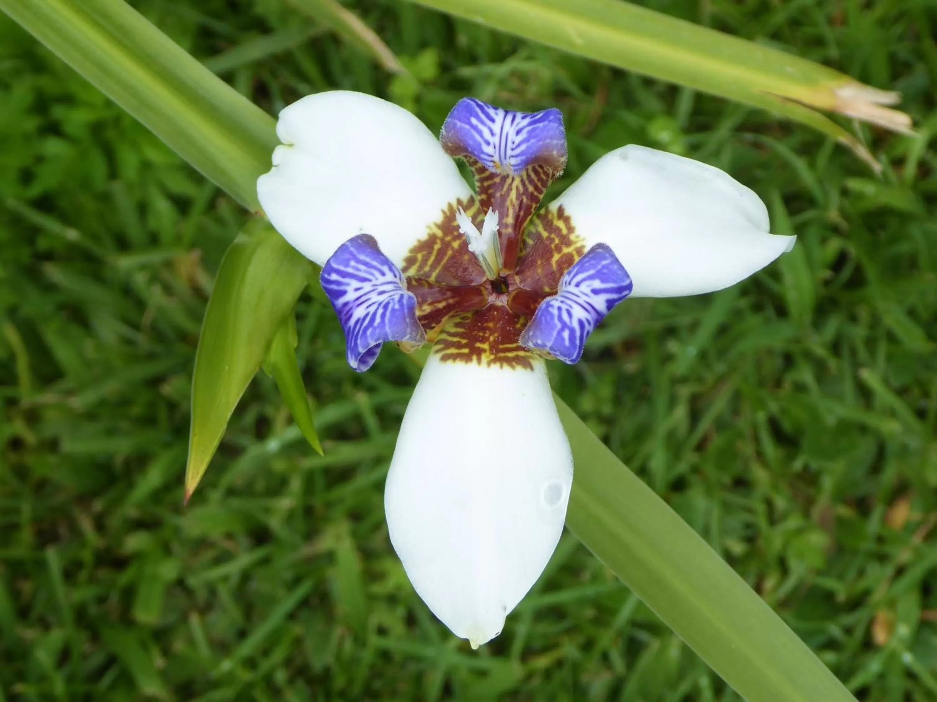 Garden in Finca El Cielo