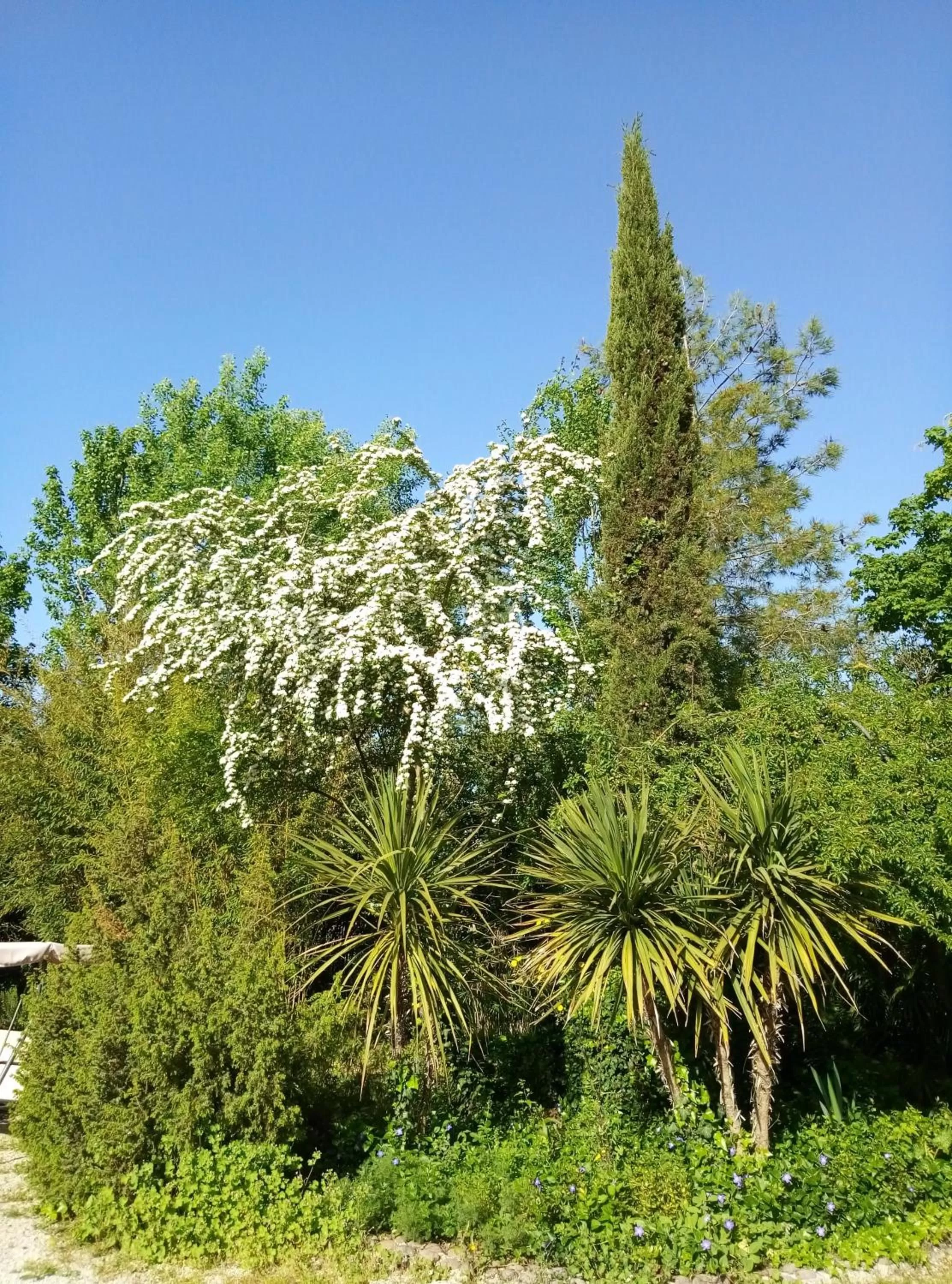 Spring in La Casa di Tara B&B Armonia e Natura