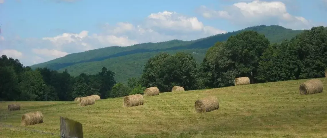 Mountain view, Natural Landscape in King George Inn