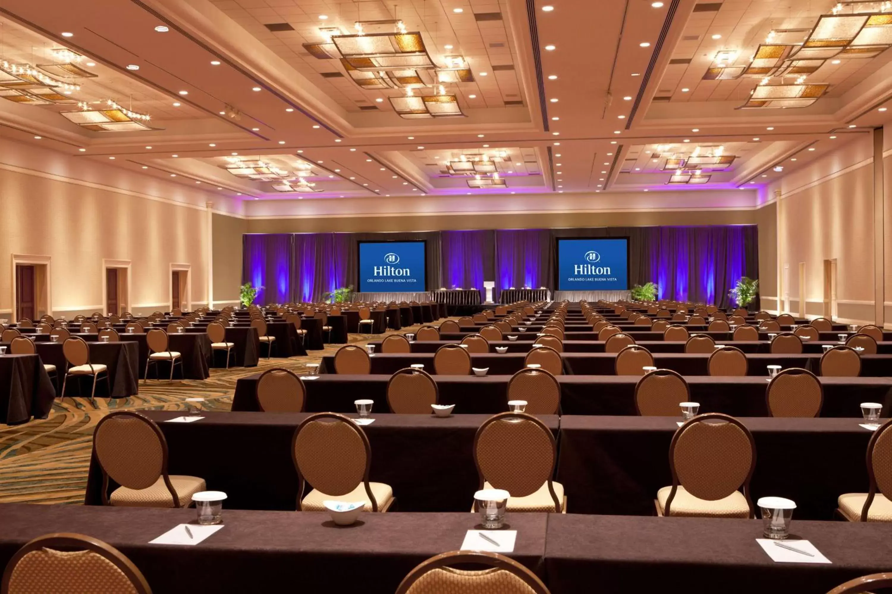 Meeting/conference room in Hilton Orlando Lake Buena Vista - Disney Springs™ Area