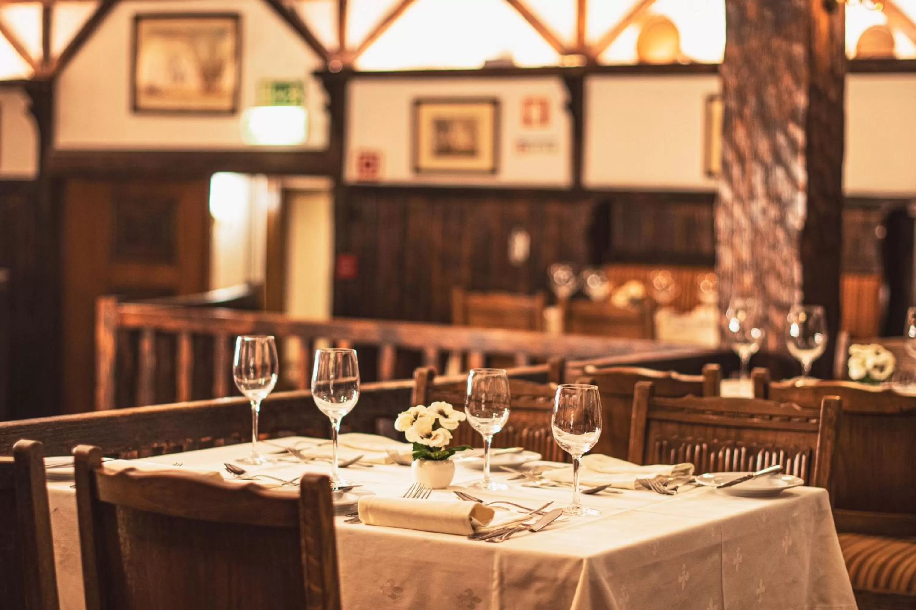 Restaurant/places to eat in SANA Rex Hotel