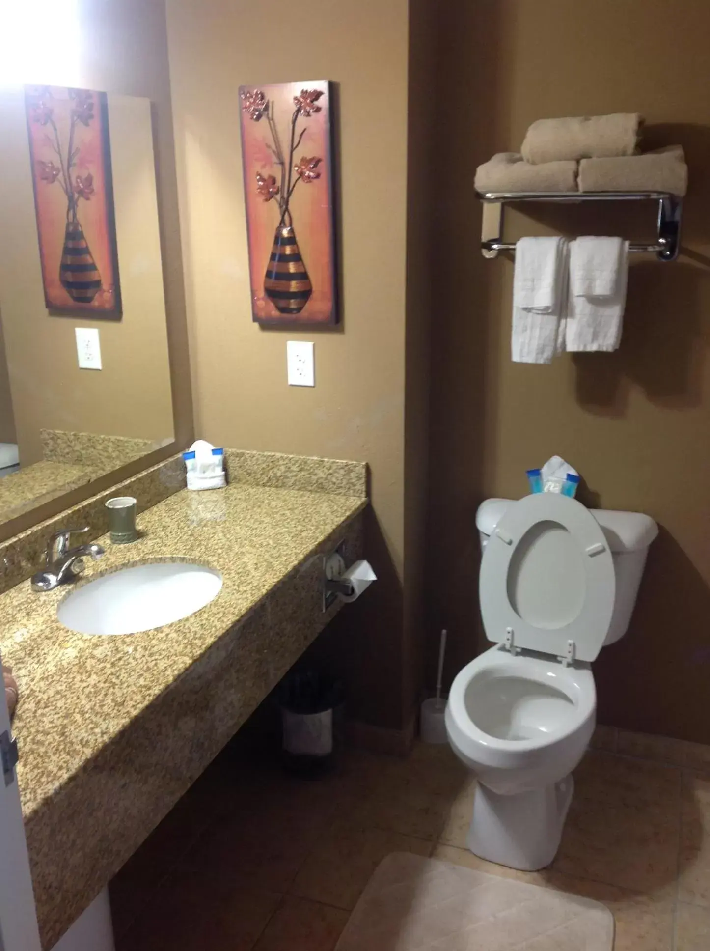 Toilet, Bathroom in Qualla Cabins and Motel Cherokee near Casino
