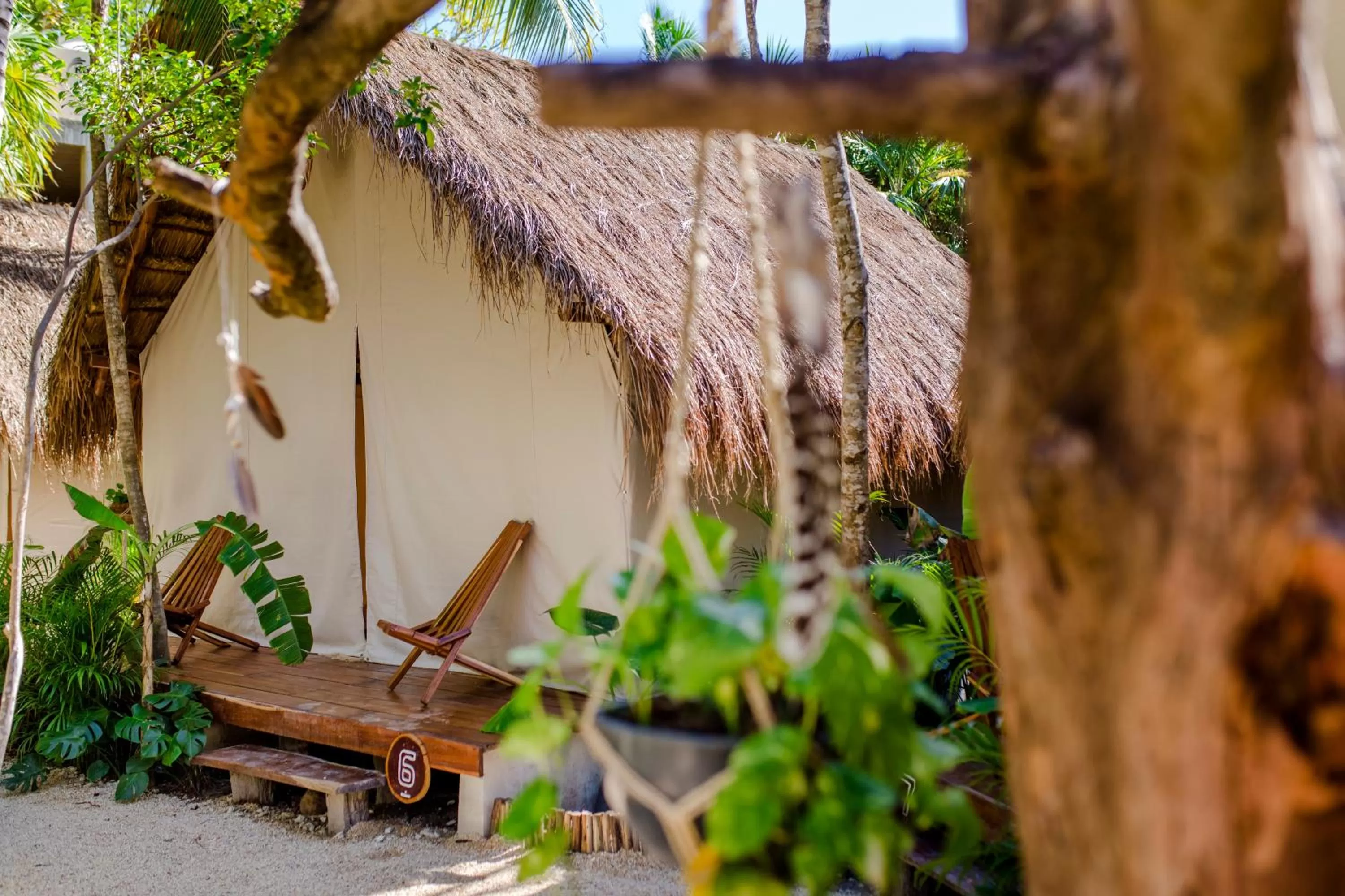 Tent in Serena Tulum - Adults Only