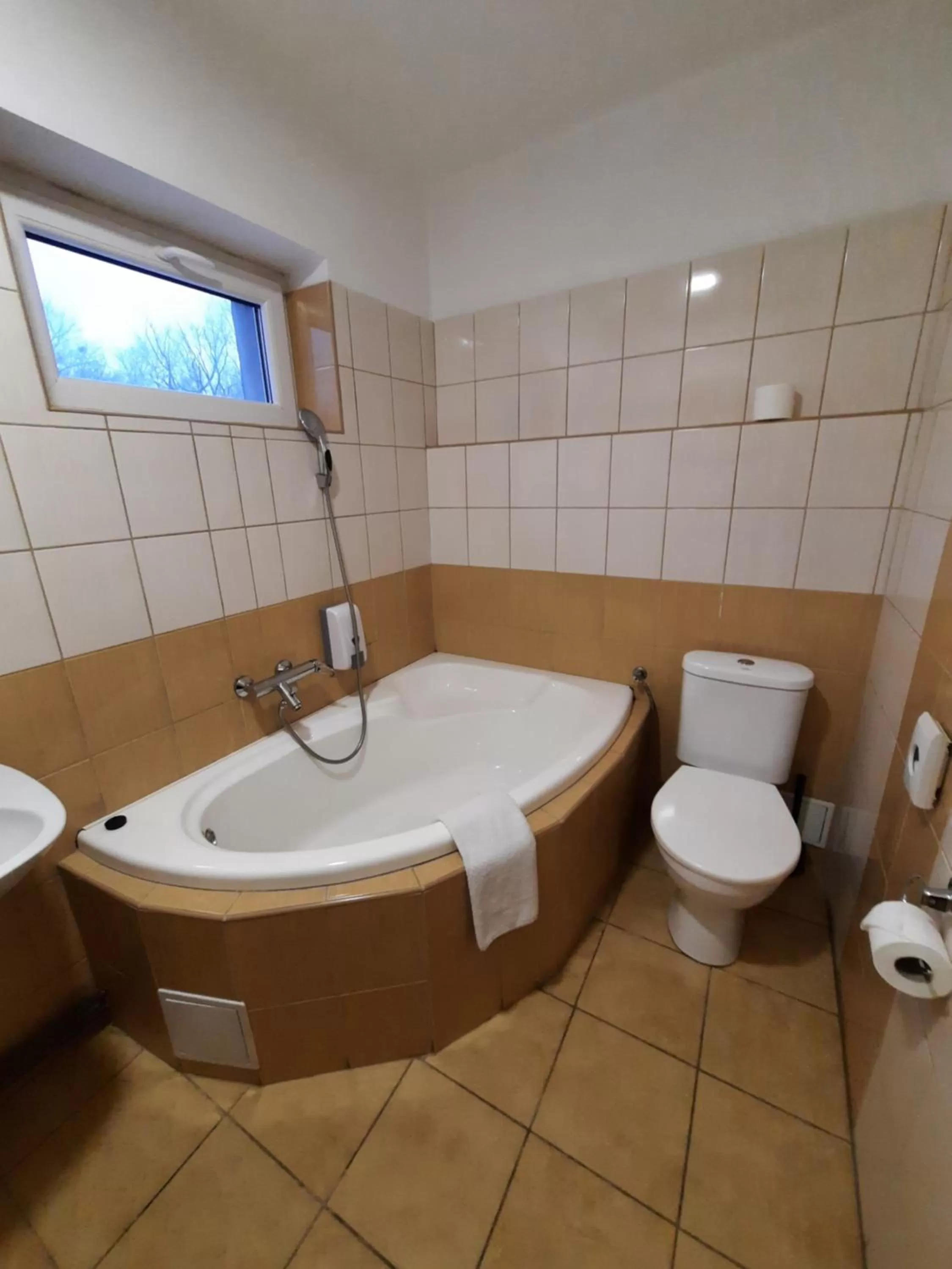Toilet in Hotel Boršičanka