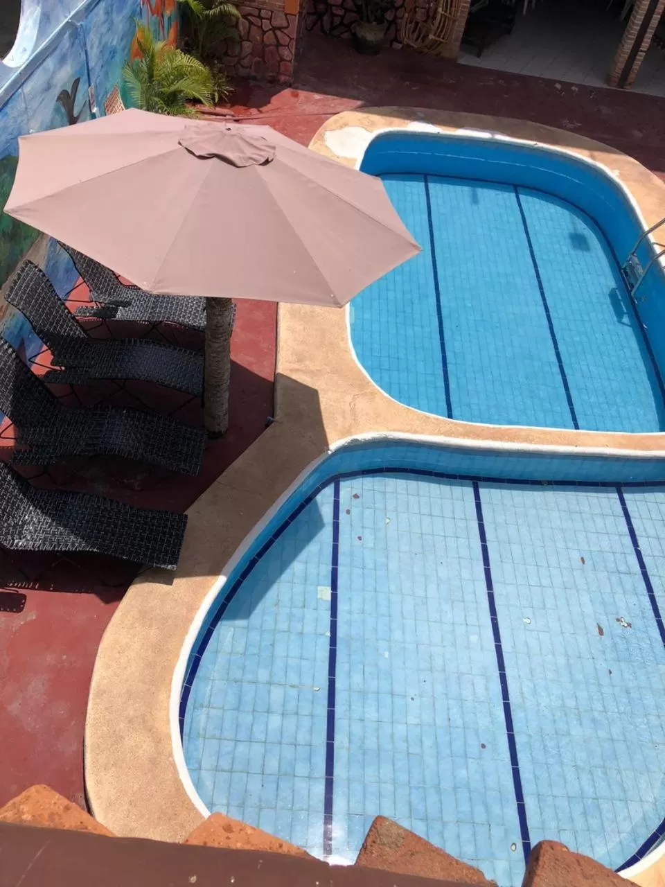 Swimming pool in Bungalows Flamingos