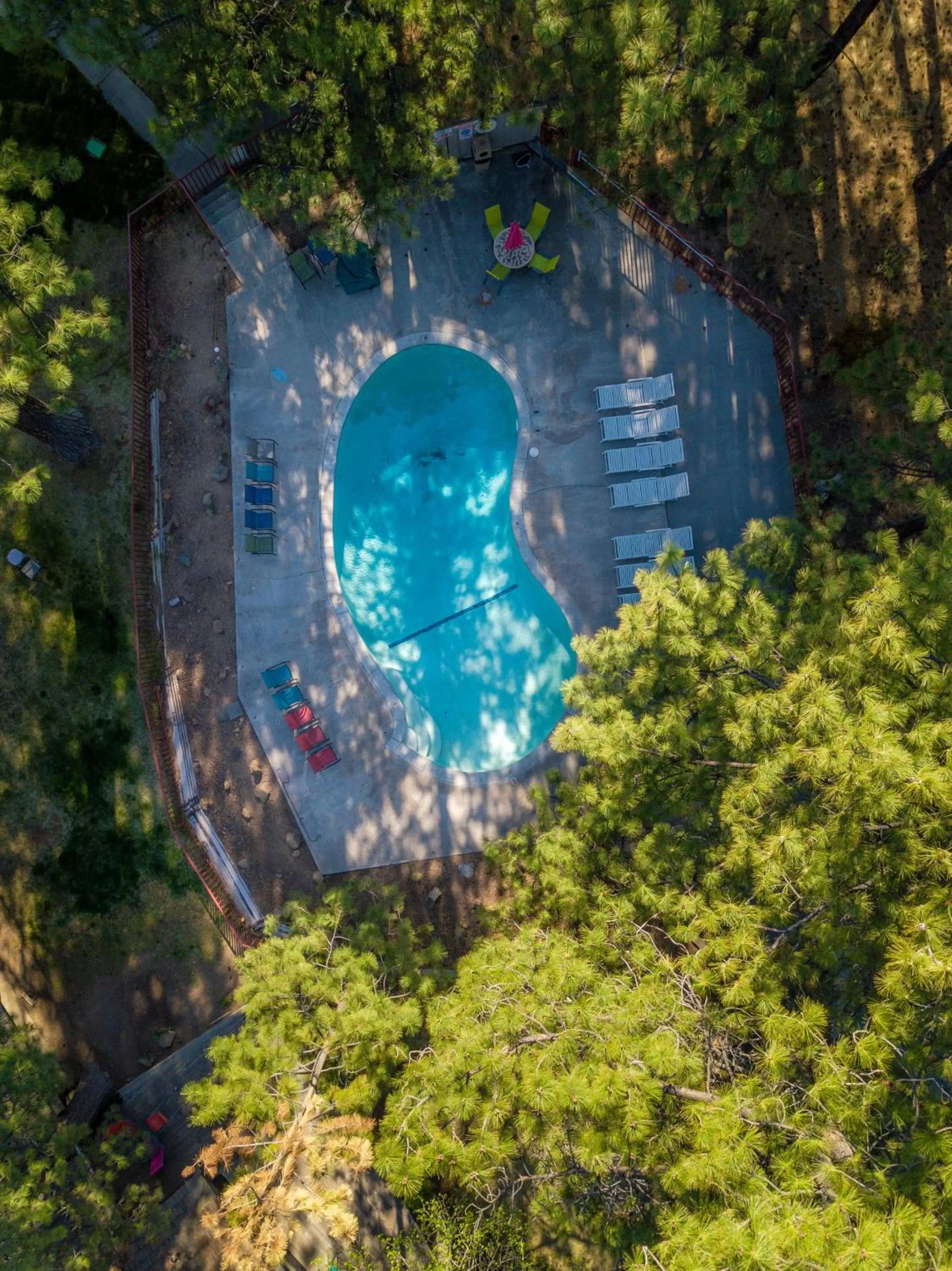 Bird's eye view in LOGE Bend