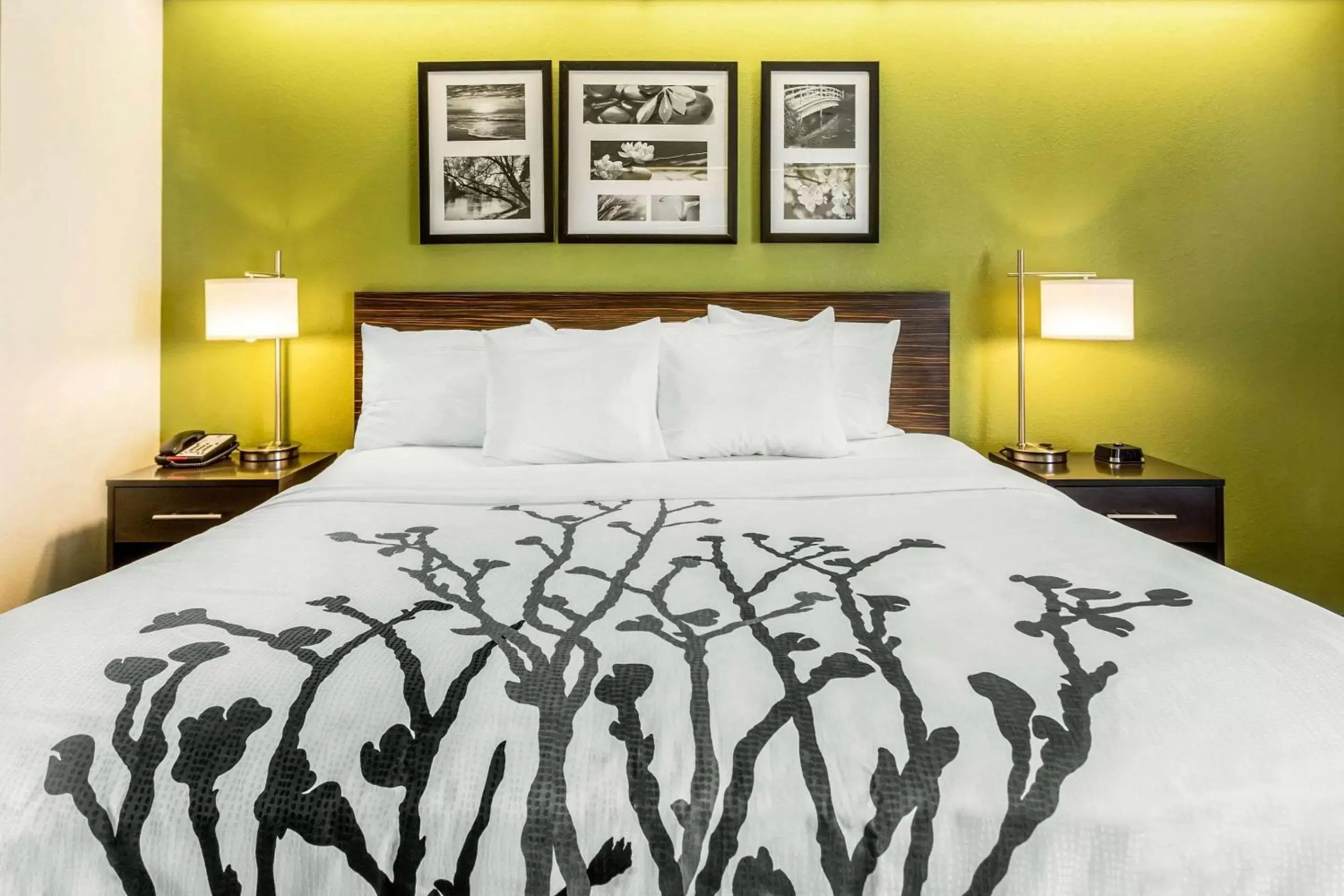 Photo of the whole room, Bed in Sleep Inn Charleston - West Ashley