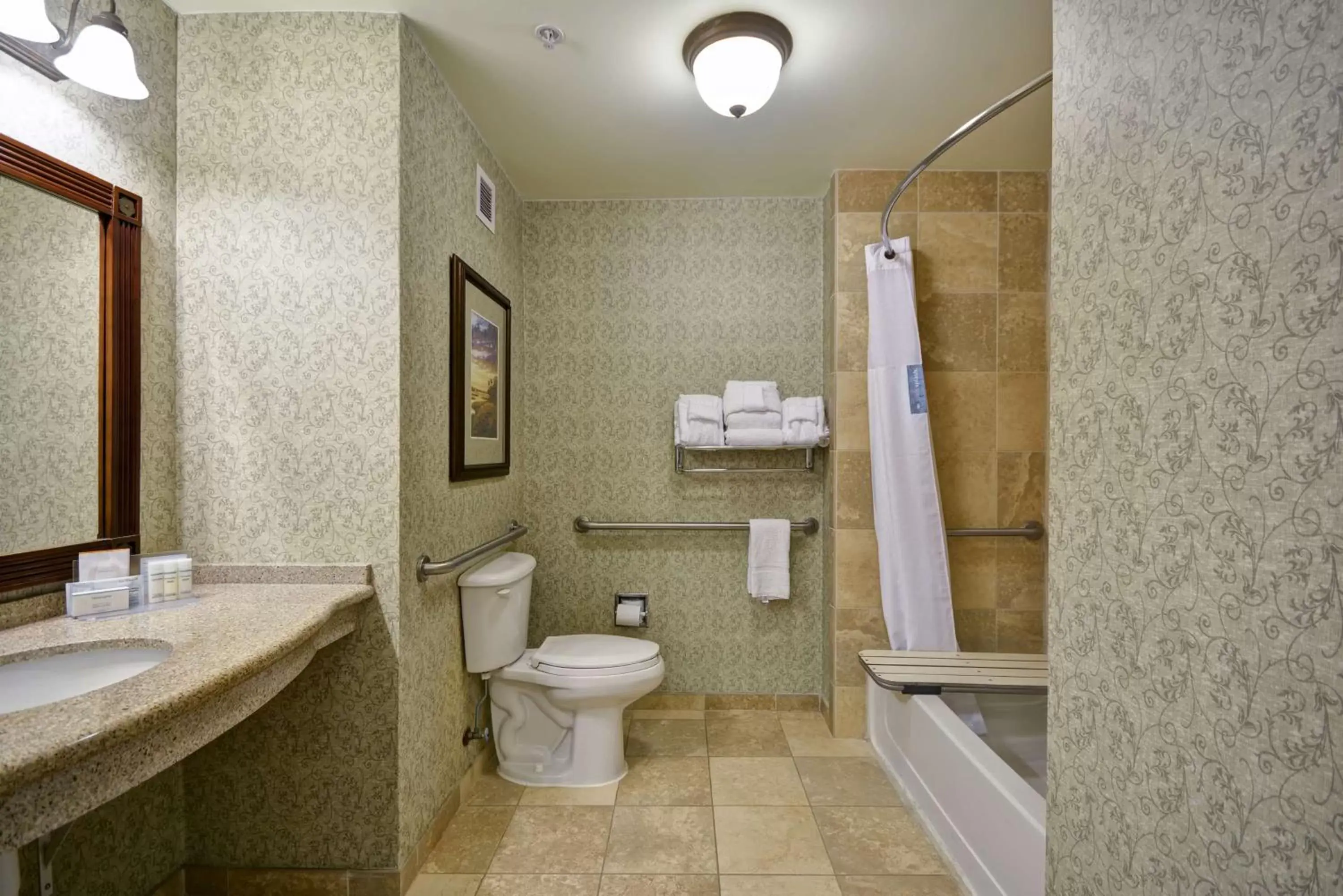 Bathroom in Hampton Inn & Suites Savannah Historic District