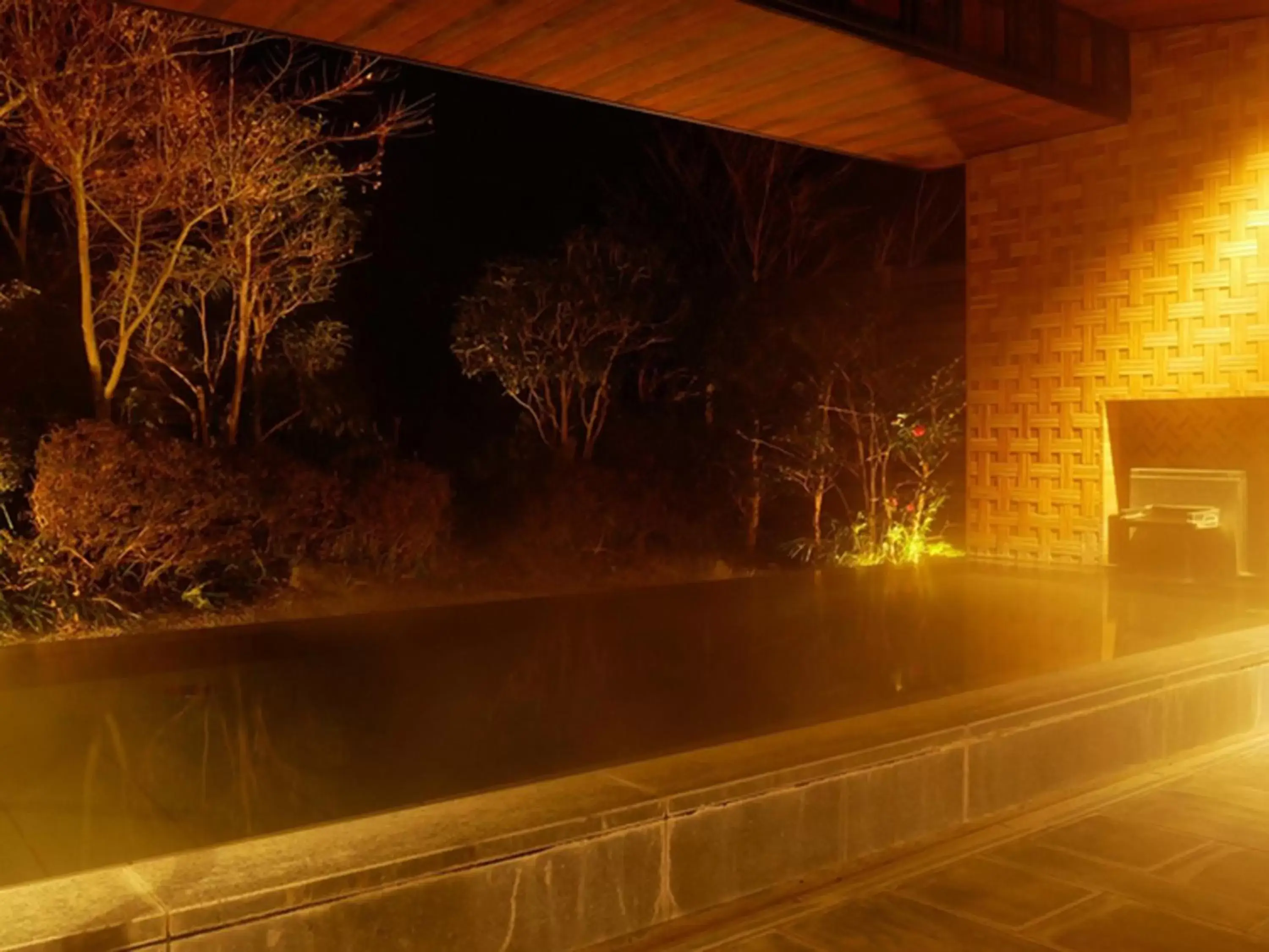 Hot Spring Bath in Hakone Sengokuhara Prince Hotel