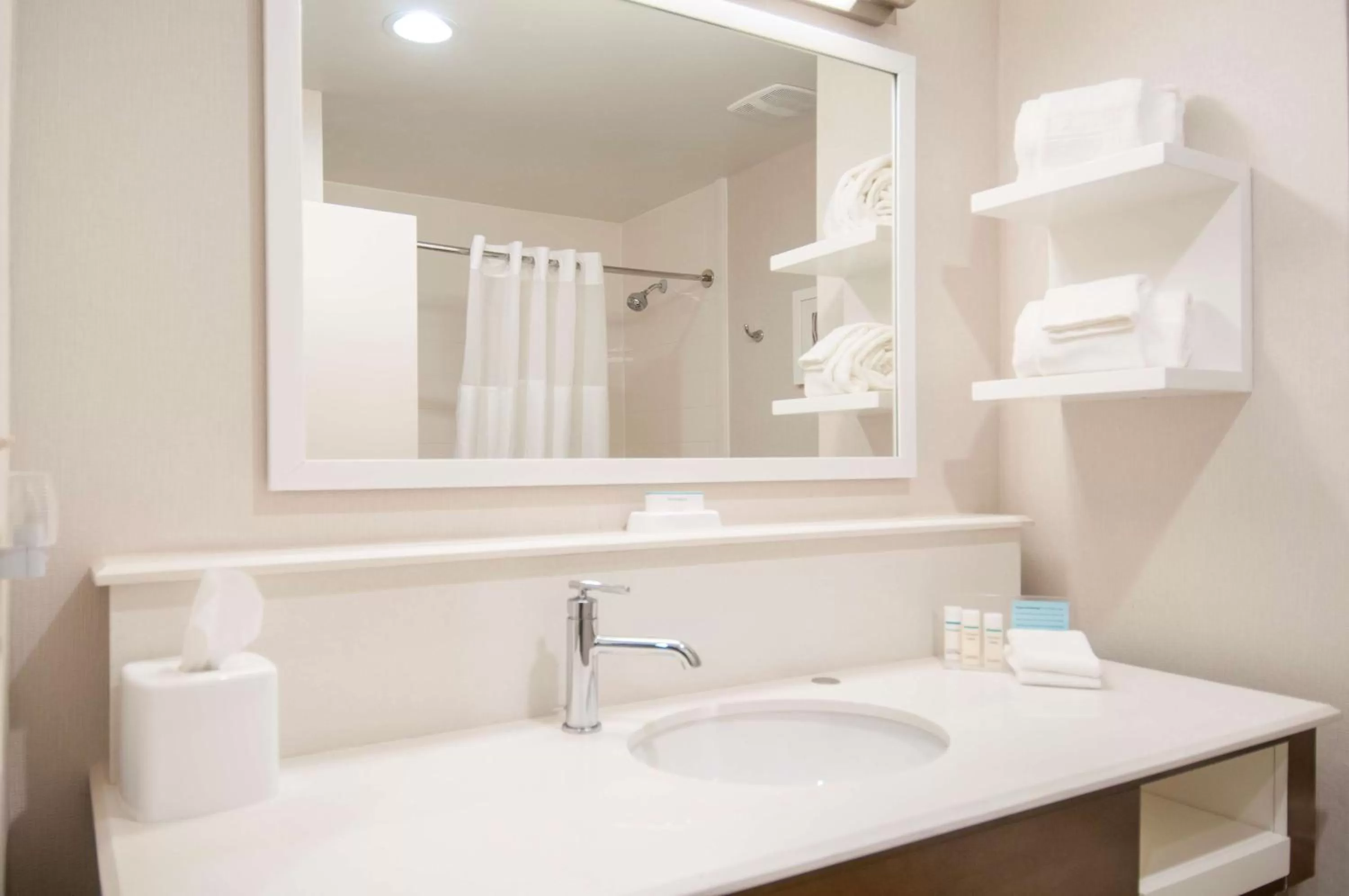 Bathroom in Hampton Inn Opelousas