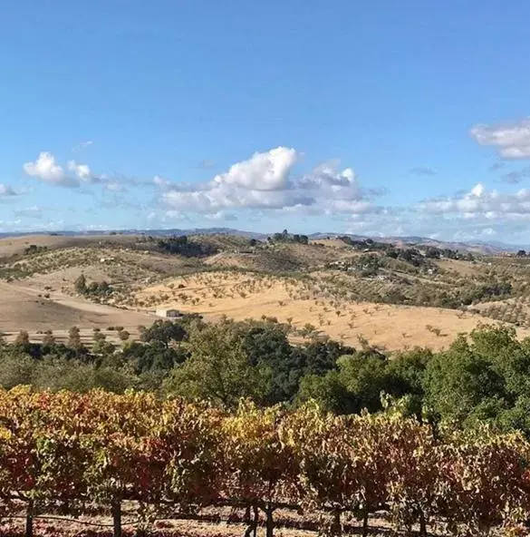 Neighbourhood in The Eden House Vineyard