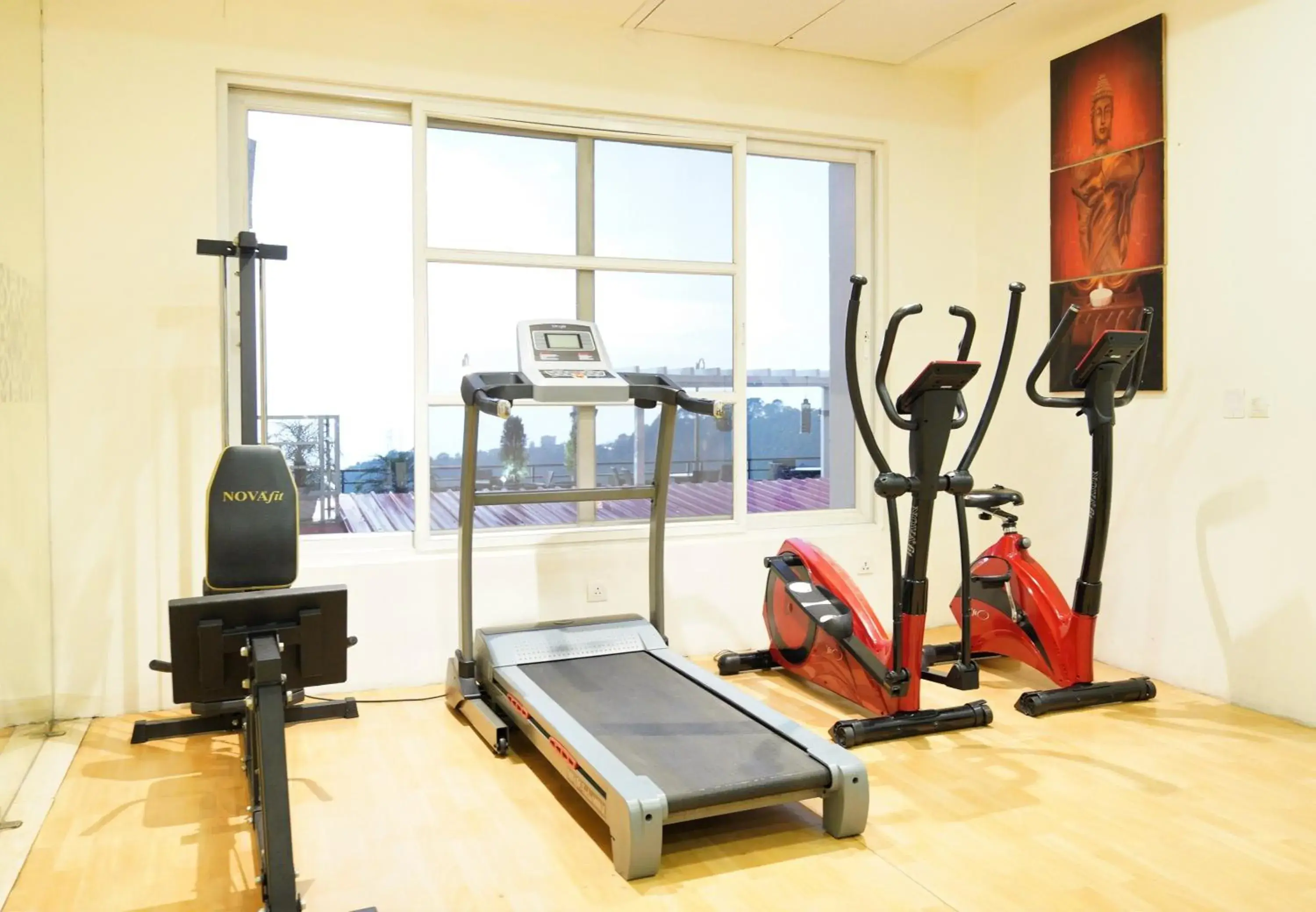 Fitness centre/facilities, Fitness Center/Facilities in Indraprastha Spa Resort