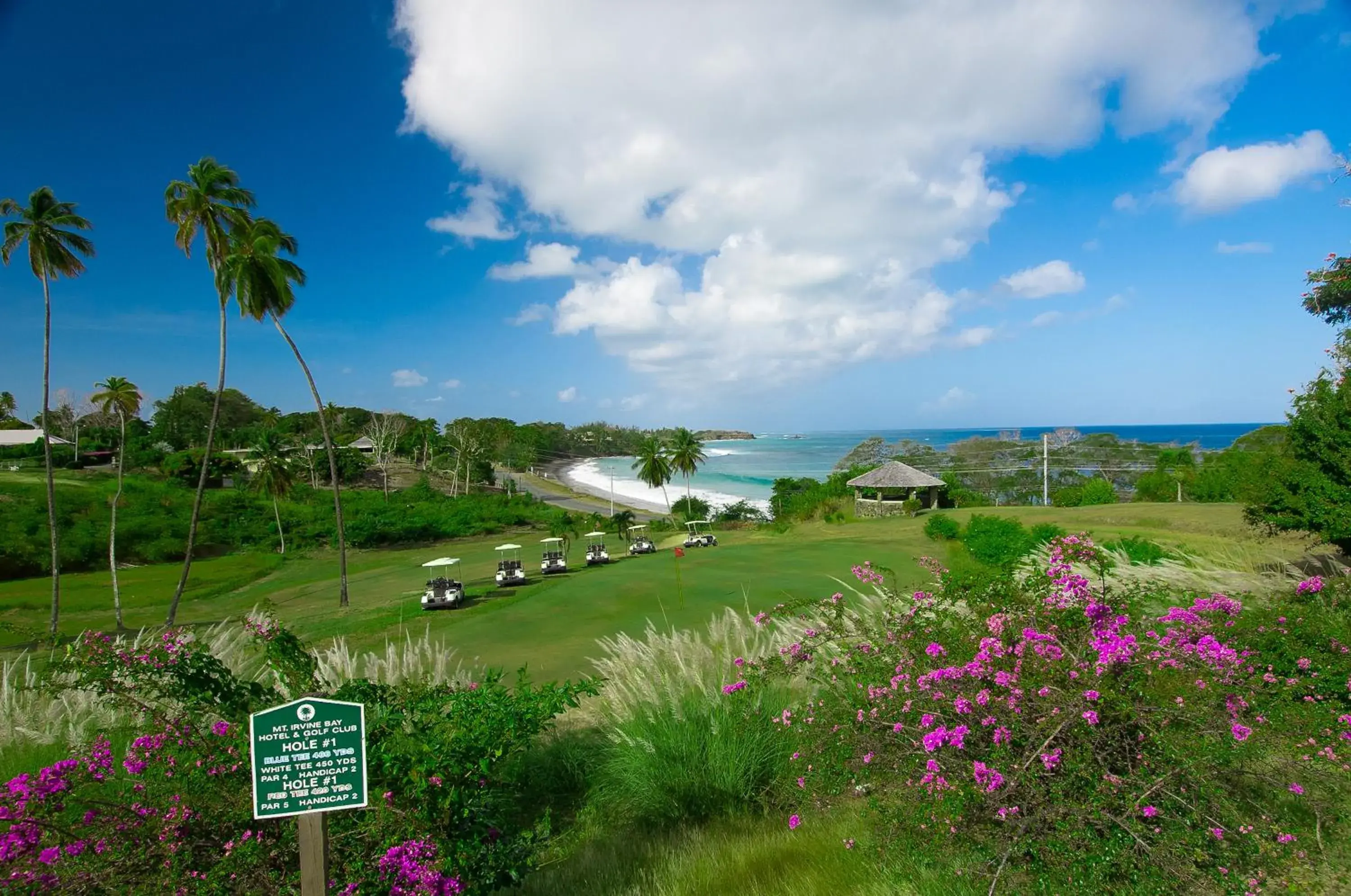 Natural landscape in Mount Irvine Bay Resort