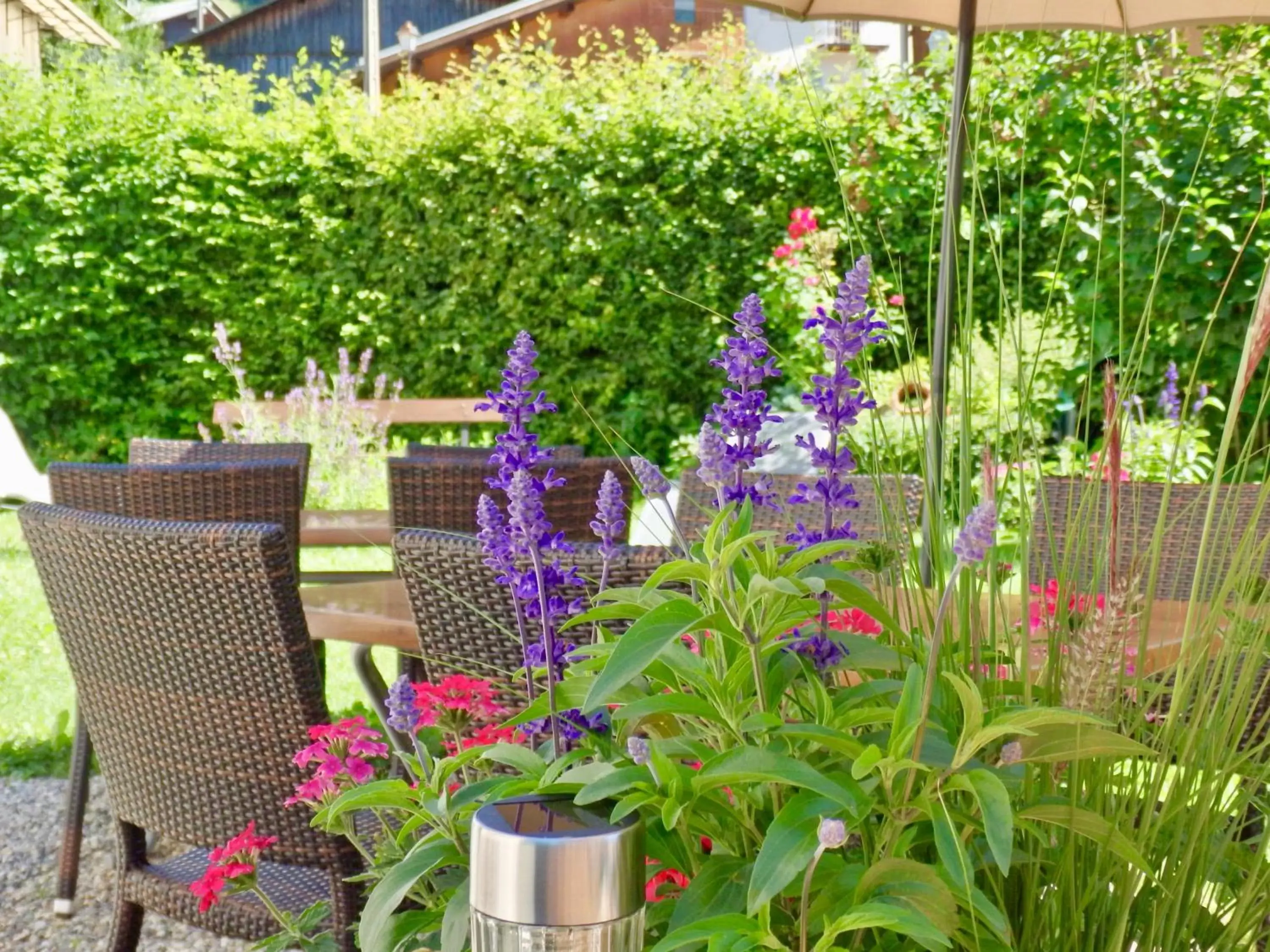 Patio in Hôtel Viallet