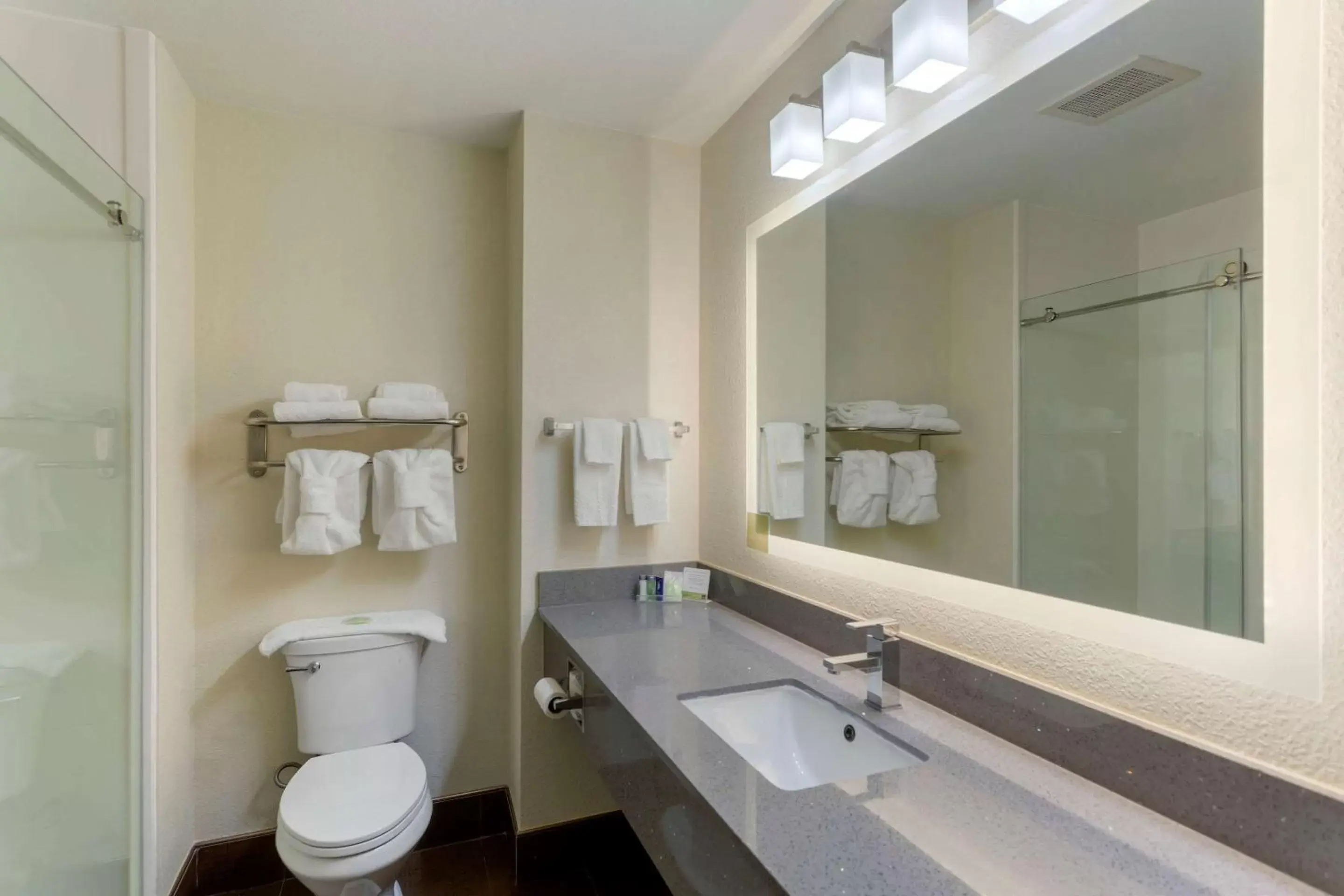 Bathroom in Sleep Inn & Suites Smyrna – Nashville