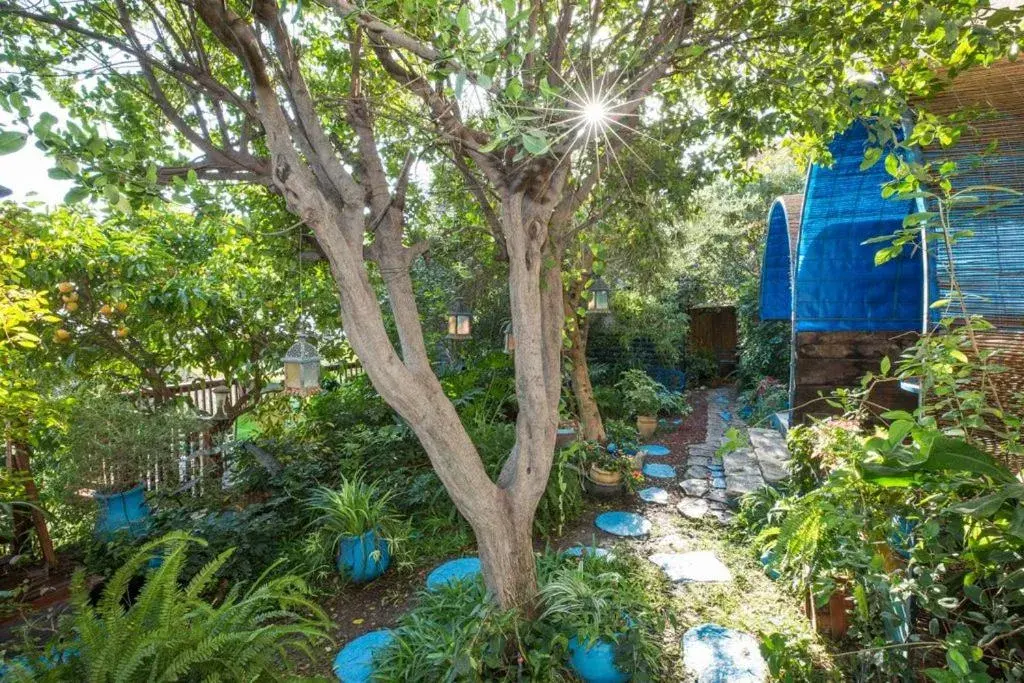 Garden in Havaya Ba Nof Lodge