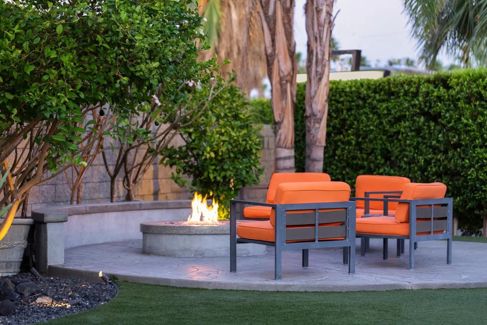 Seating area in The Palm Springs Hotel