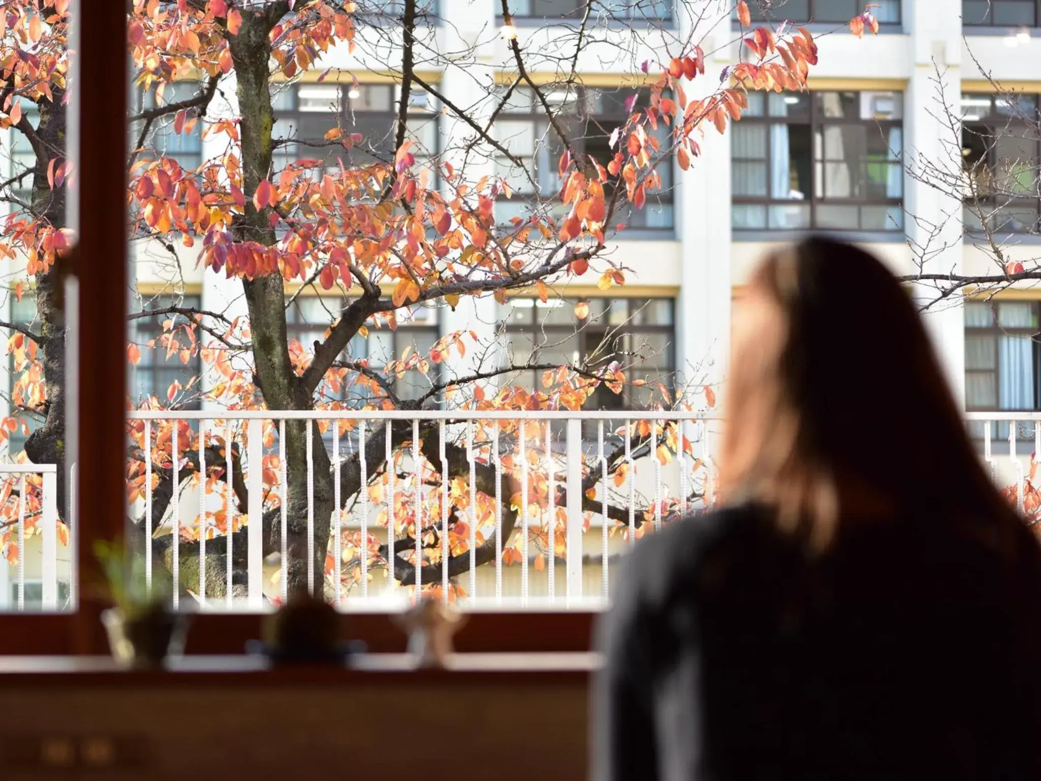 Autumn in Hostel Mitsuwaya Osaka