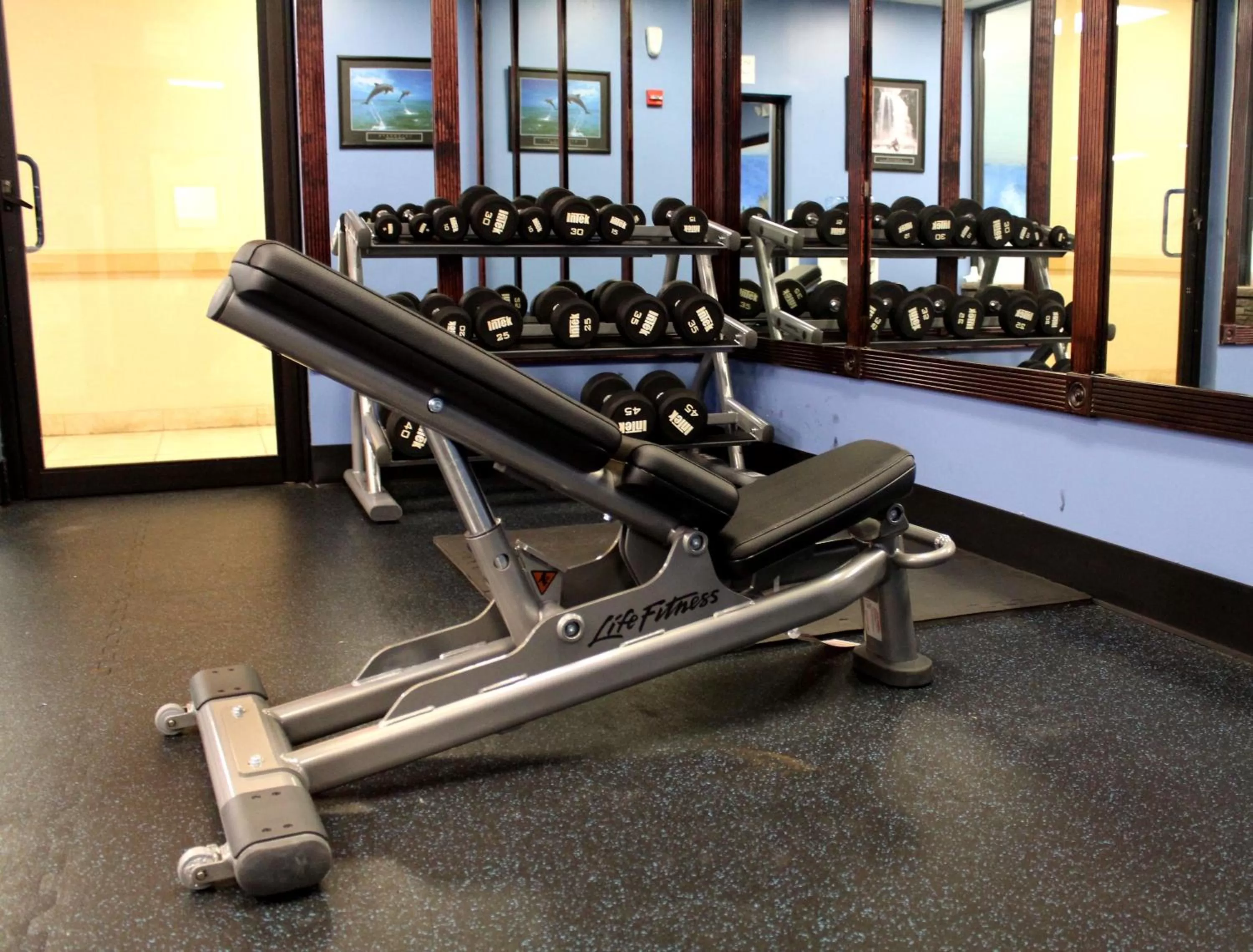 Fitness centre/facilities in Holiday Inn Express Stony Brook-Long Island by IHG