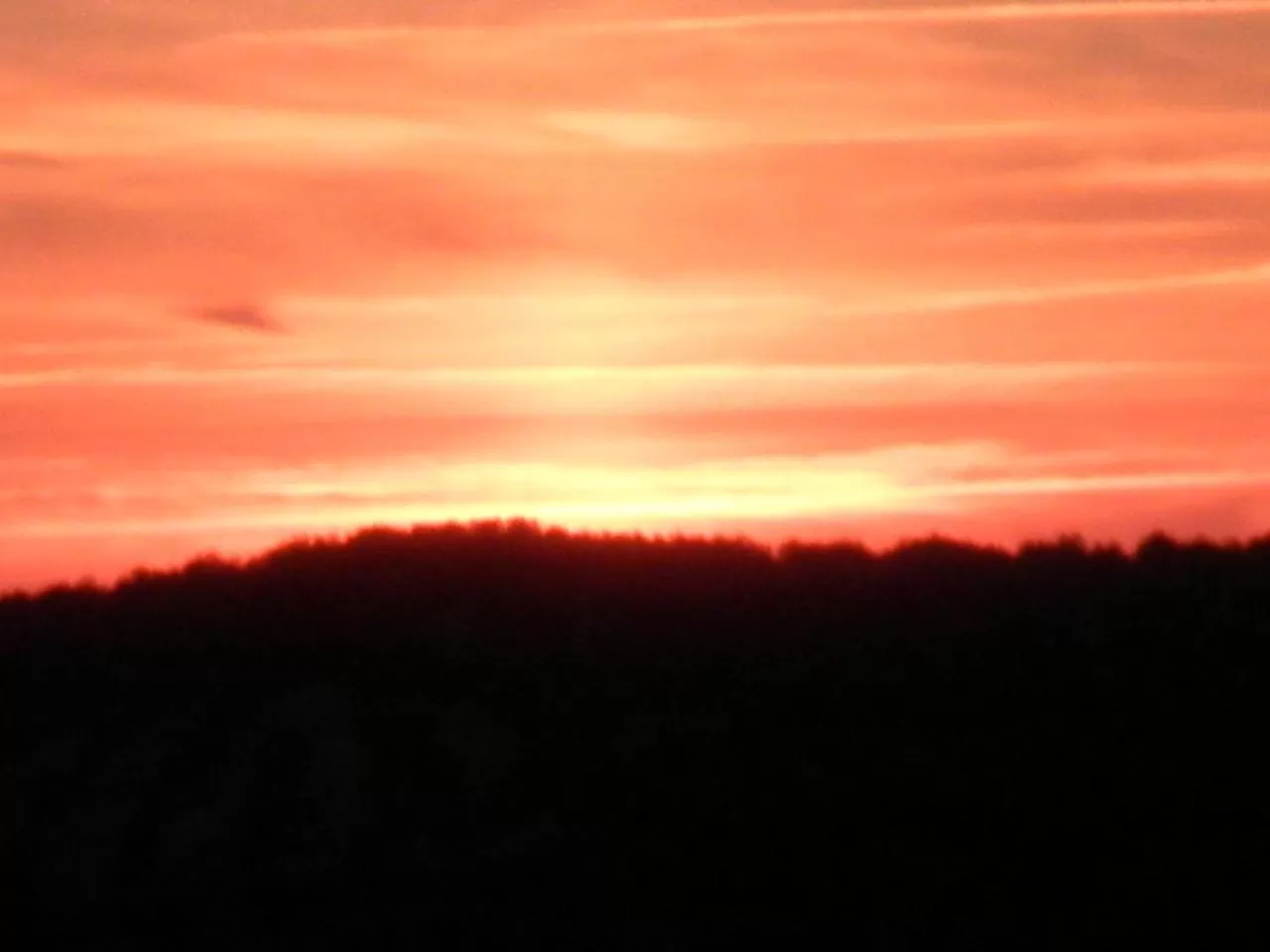 Other in Hotel Sierra de Araceli Lucena