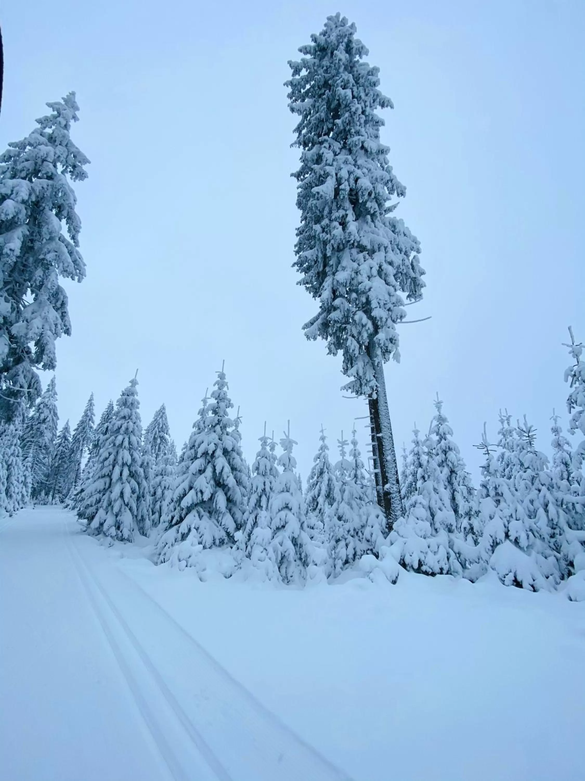 Natural landscape in Vila Jáchymov