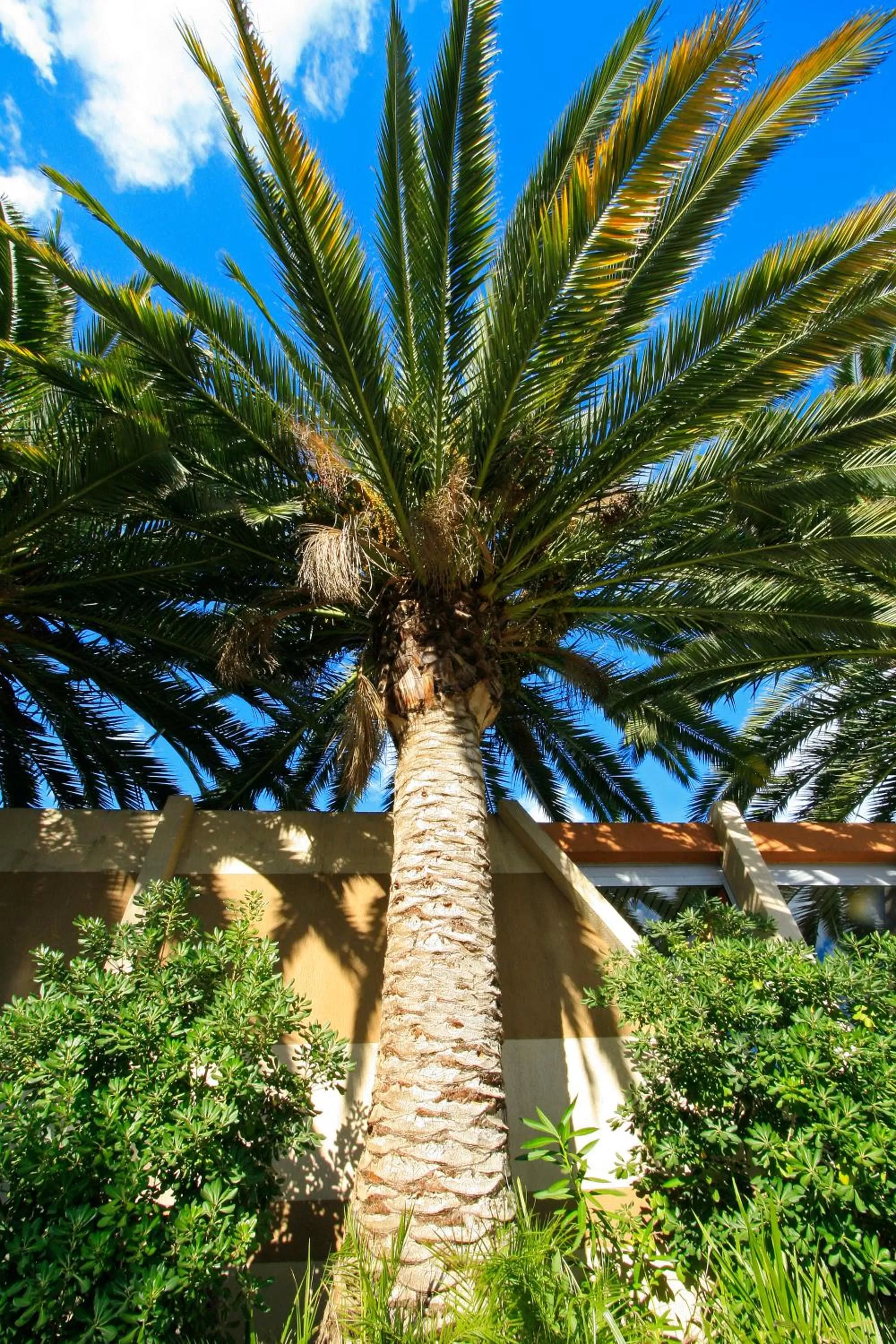 Facade/entrance in Logis NIMOTEL Hôtel Cosy