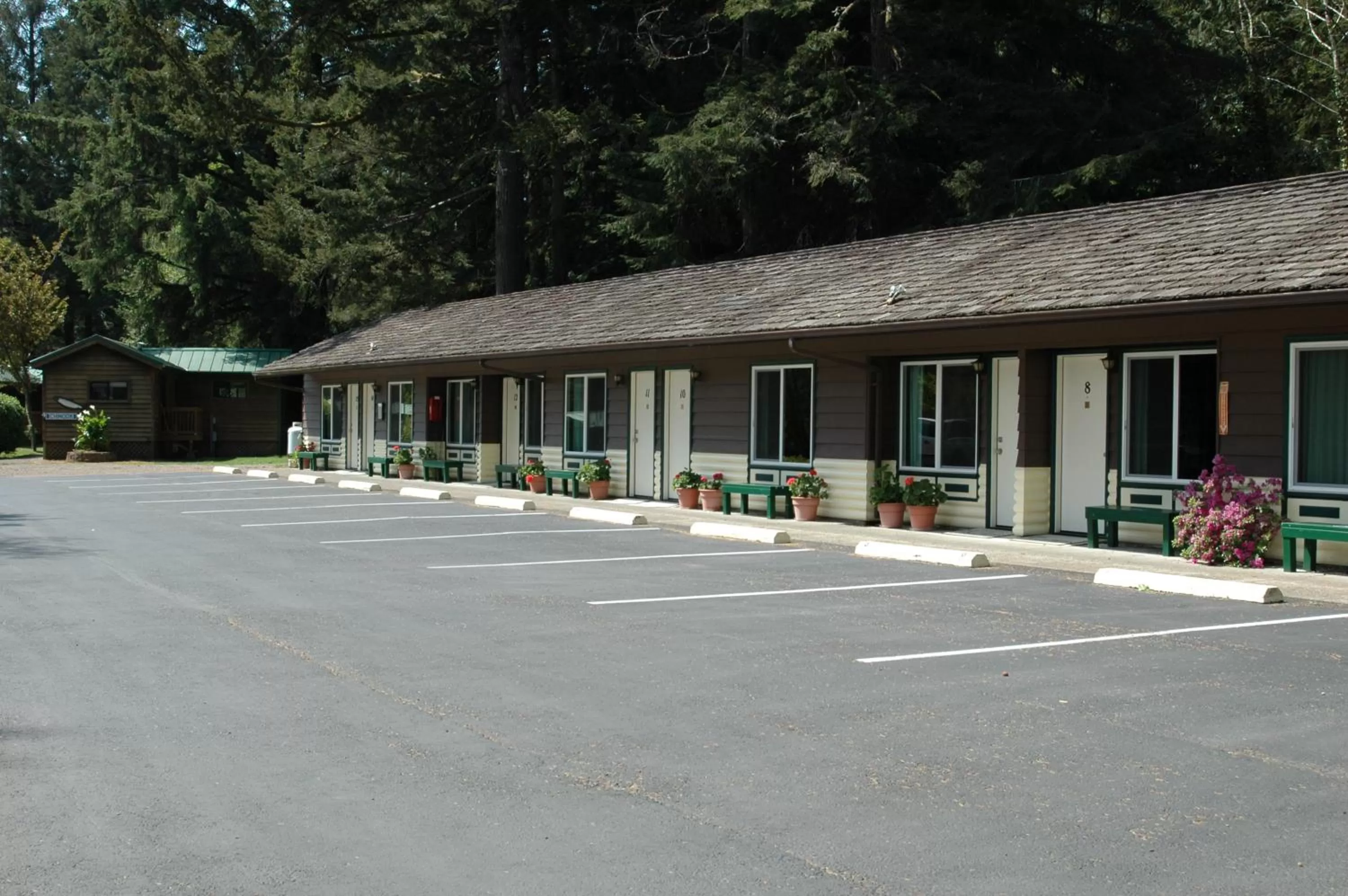Park Motel and Cabins