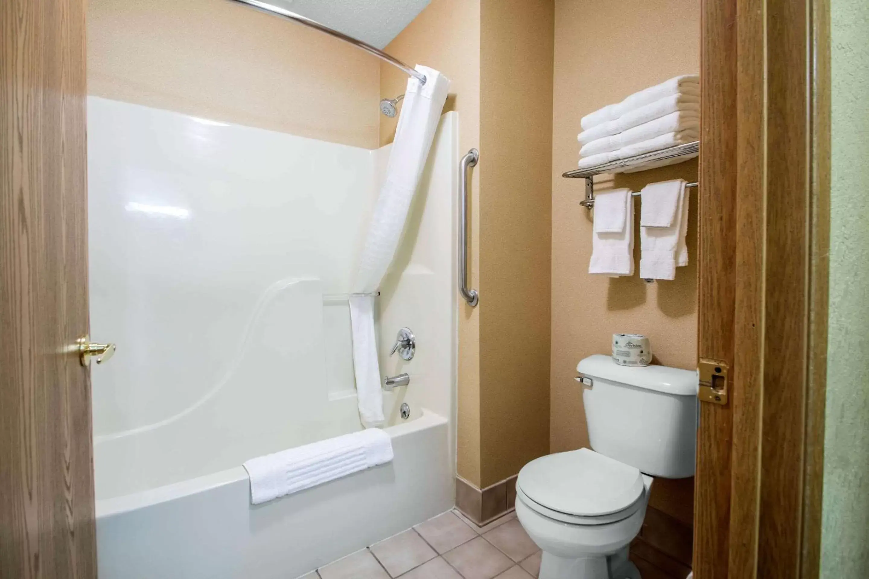 Toilet, Bathroom in Comfort Suites Wisconsin Dells Area
