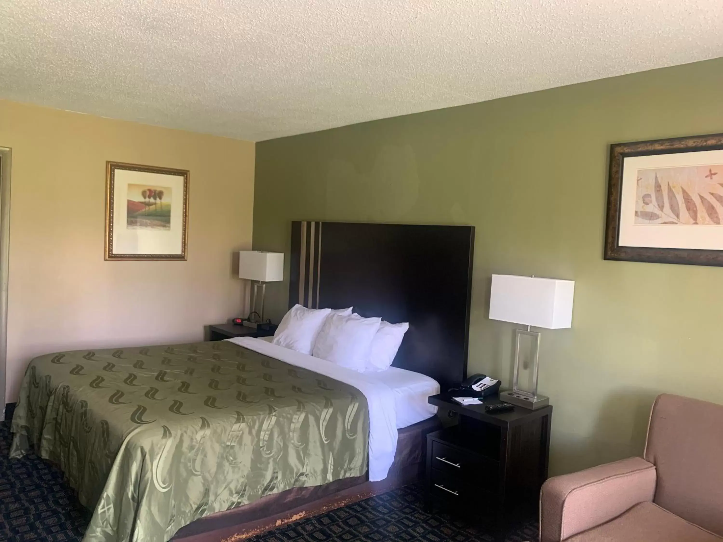 King Room - Non-Smoking (No Pets Allowed) in Quality Inn & Suites Brooksville I-75/Dade City