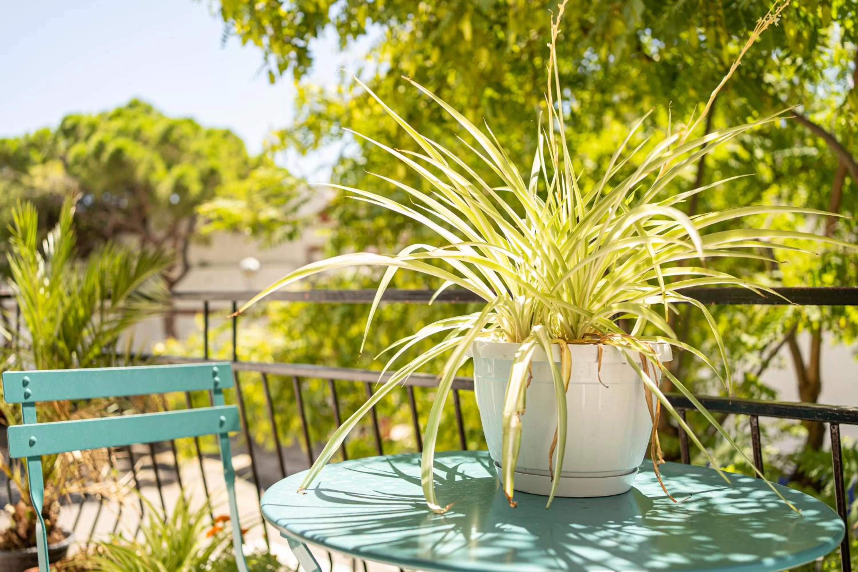 Balcony/Terrace in Sitges Beach Hostal