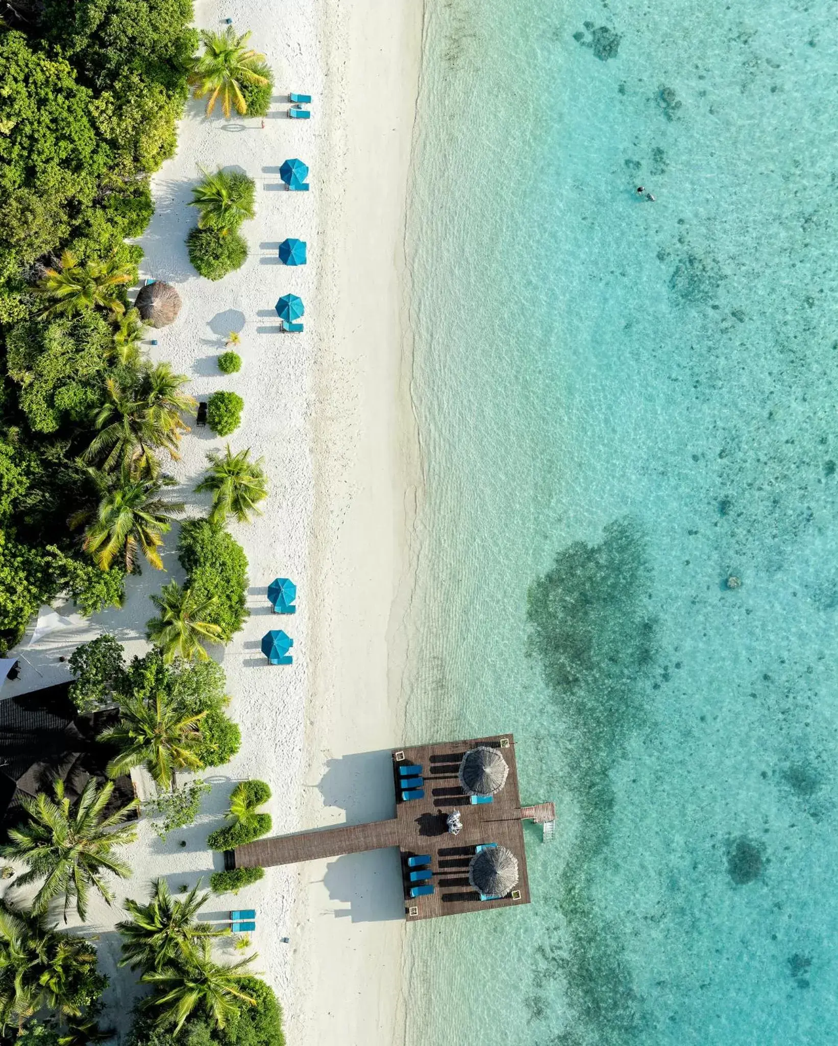 Day, Bird's-eye View in Canareef Resort Maldives