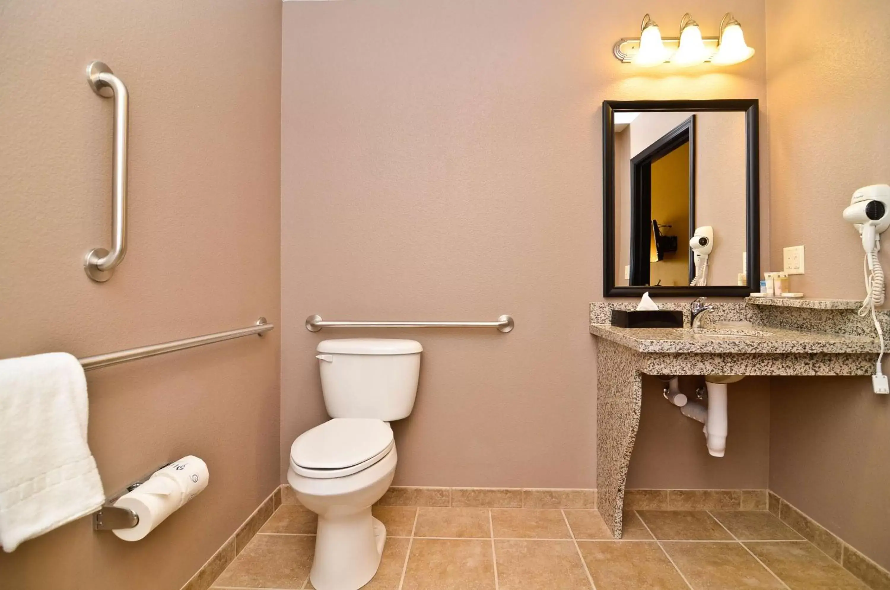 Bathroom in Best Western Plus Carousel Inn & Suites Burlington