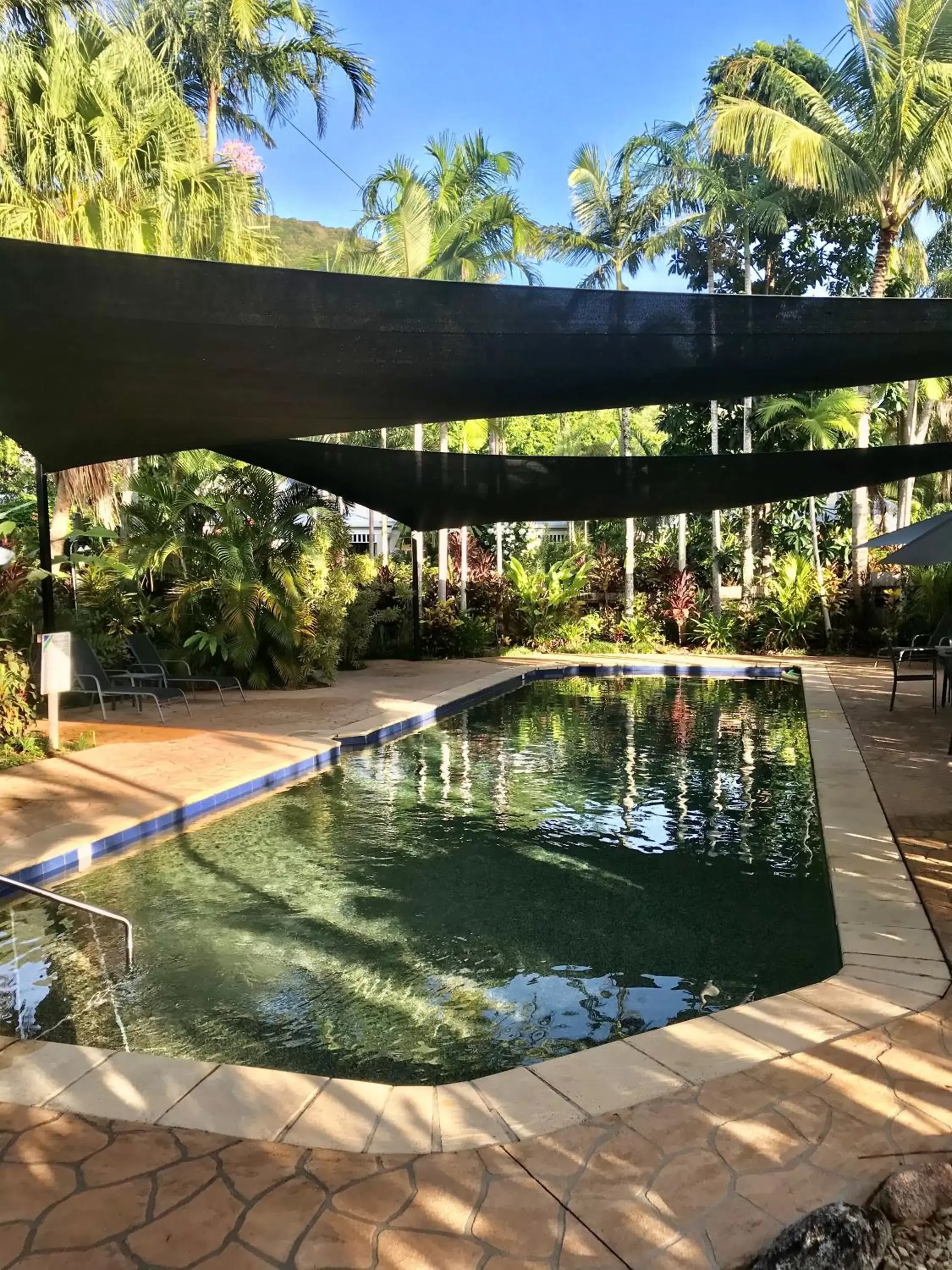 Swimming pool in The Villas Palm Cove