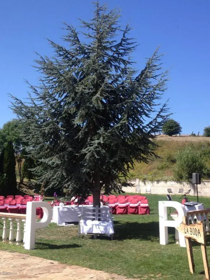 Banquet/Function facilities, Garden in Hotel Vejo