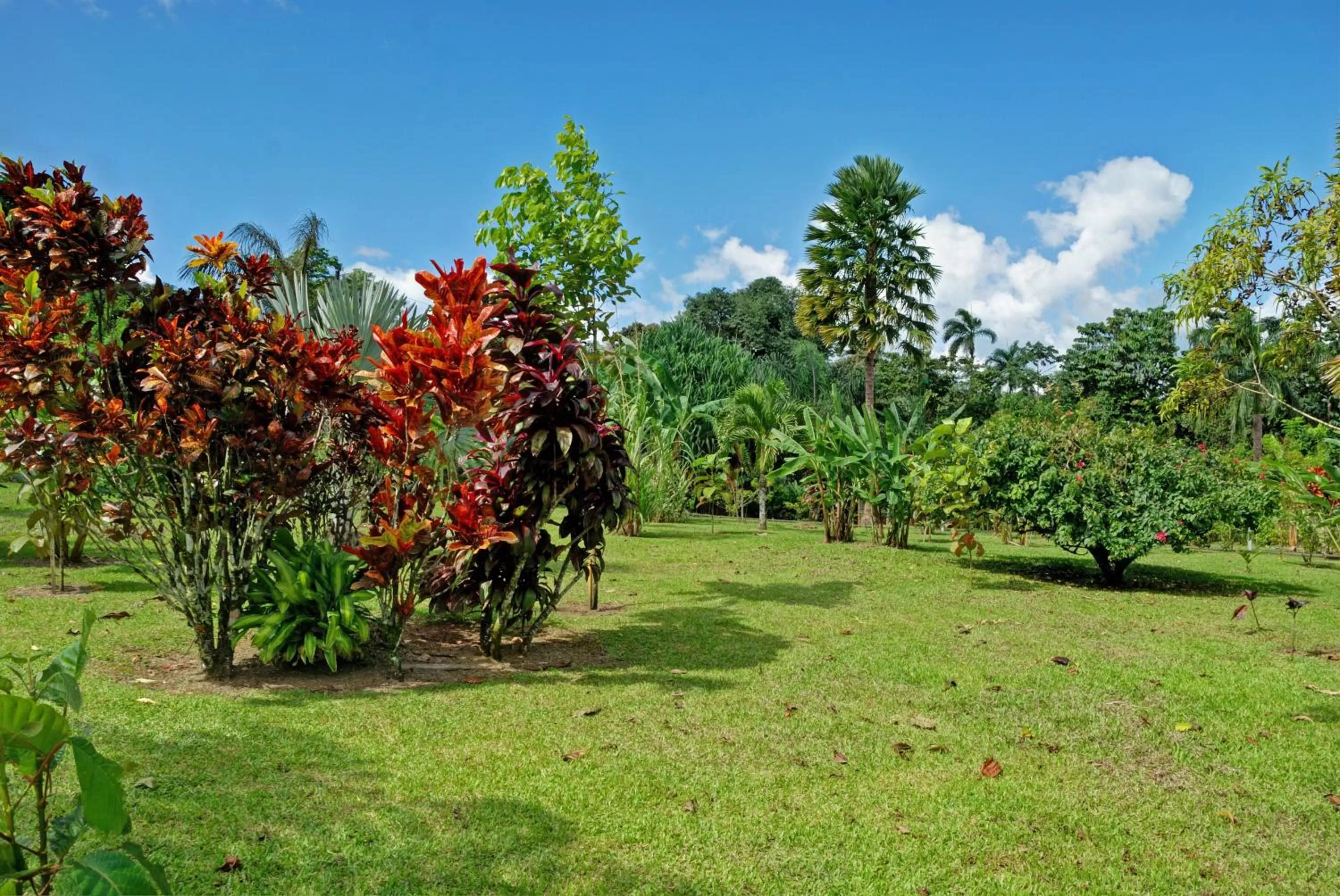 Day in Volcano Lodge, Hotel & Thermal Experience