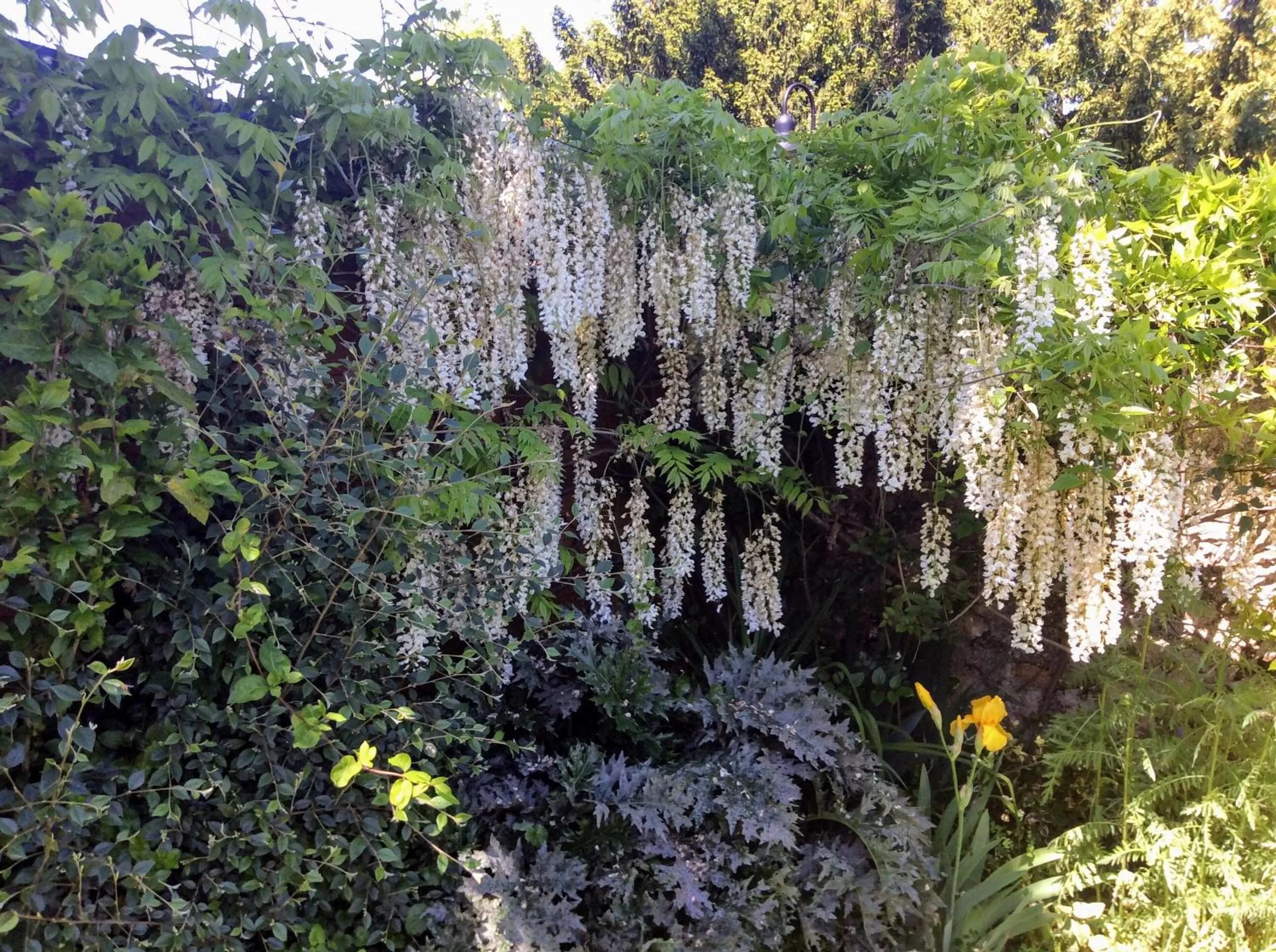 Garden in Les Chambres D'oriane