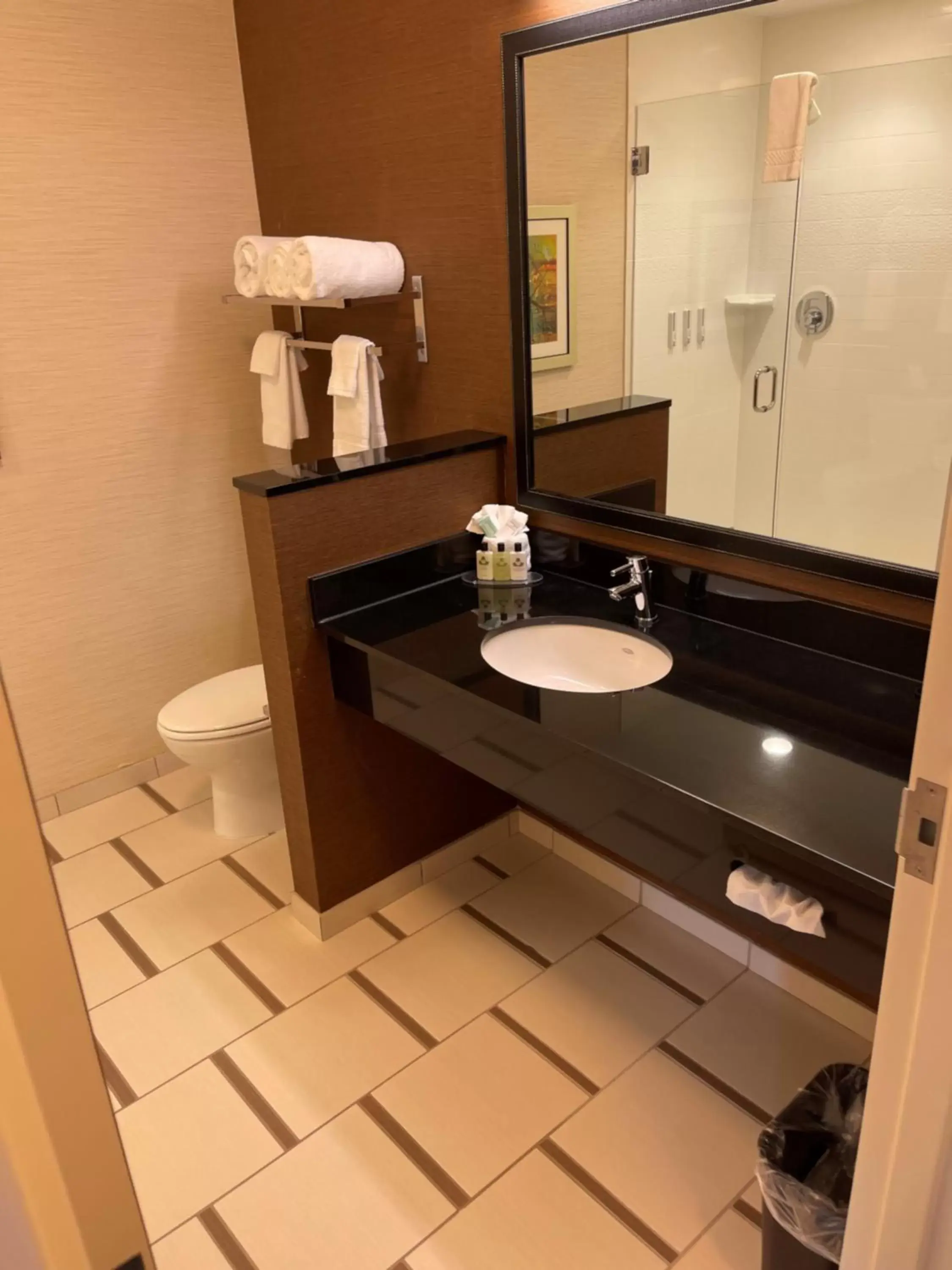 Bathroom in Fairfield Inn & Suites by Marriott East Grand Forks