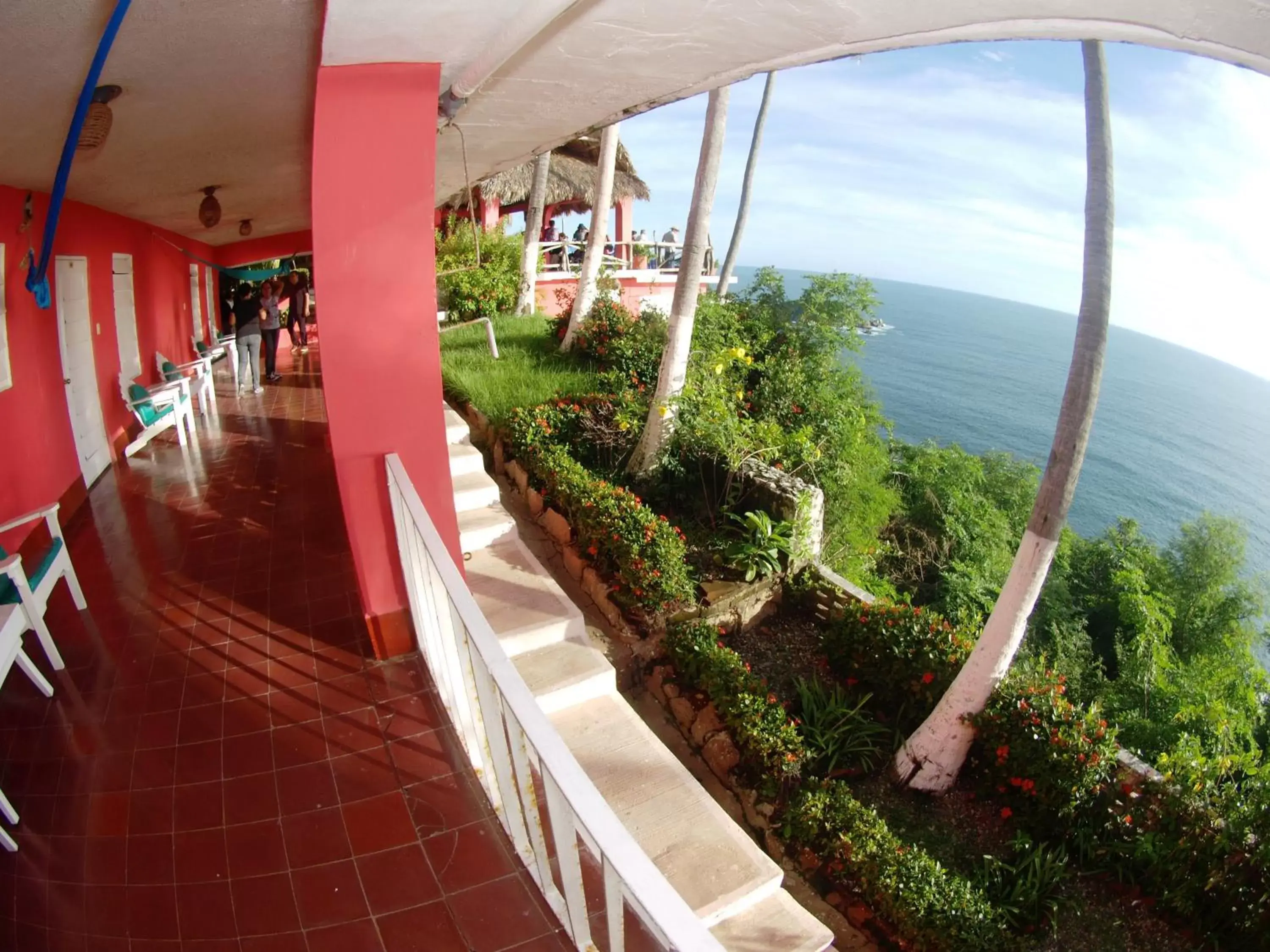 Balcony/Terrace in Hotel Flamingos