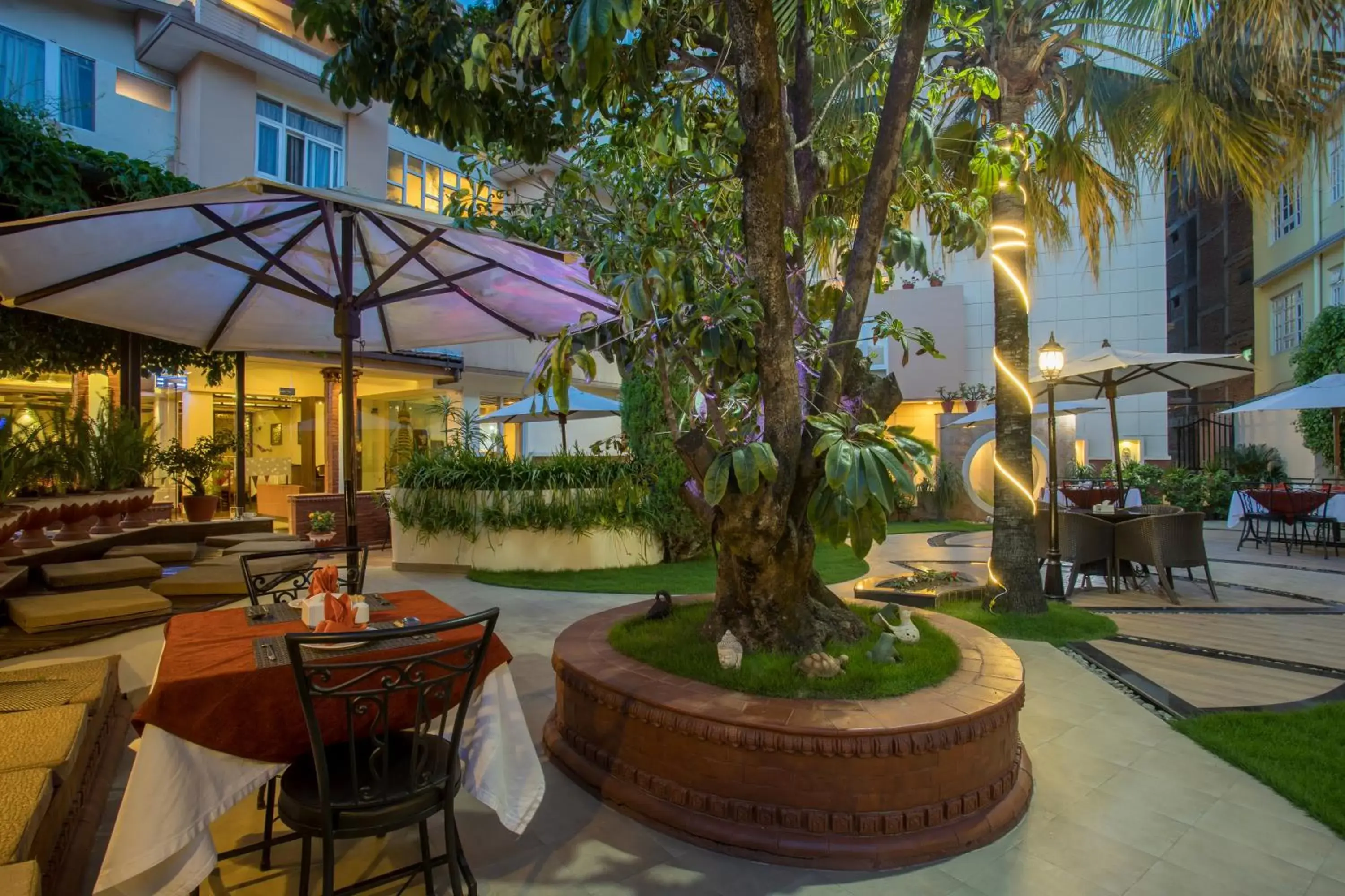 Garden in Hotel Moonlight