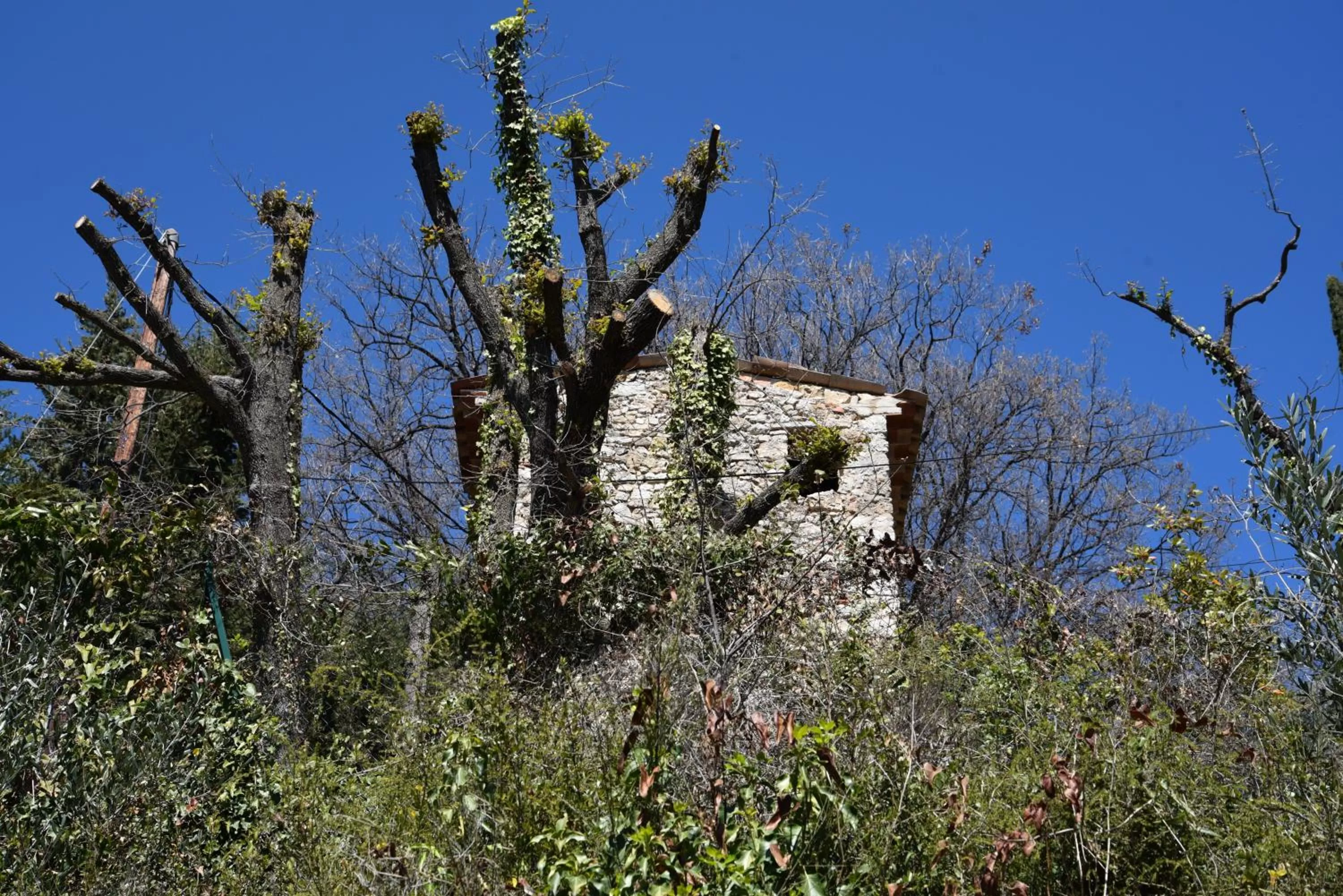Natural landscape in Chambre d'hôtes Cottes