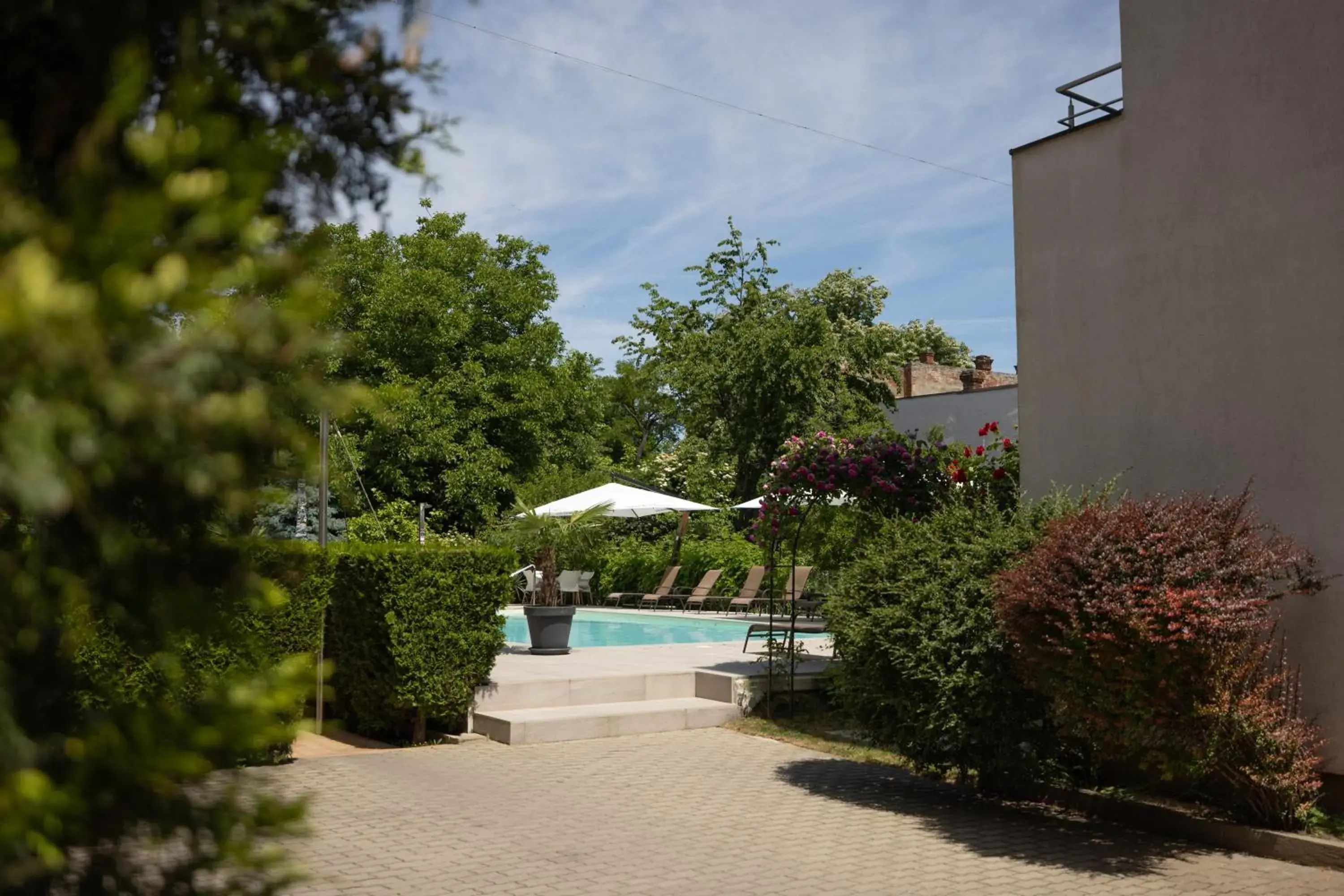 Swimming Pool in Hotel Perla