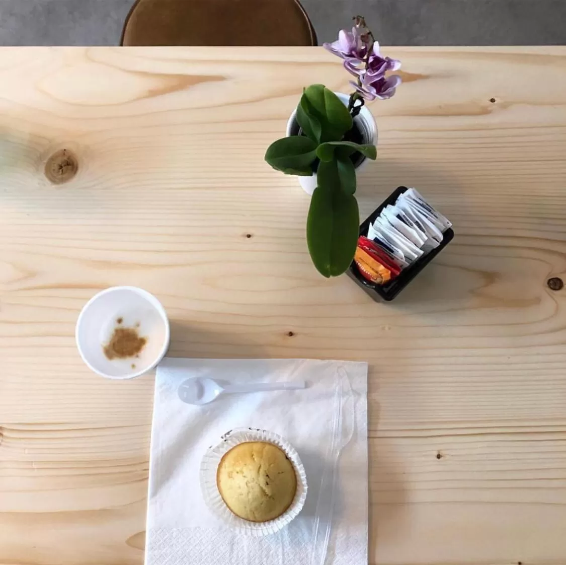 Staff in La Casa del Corallo