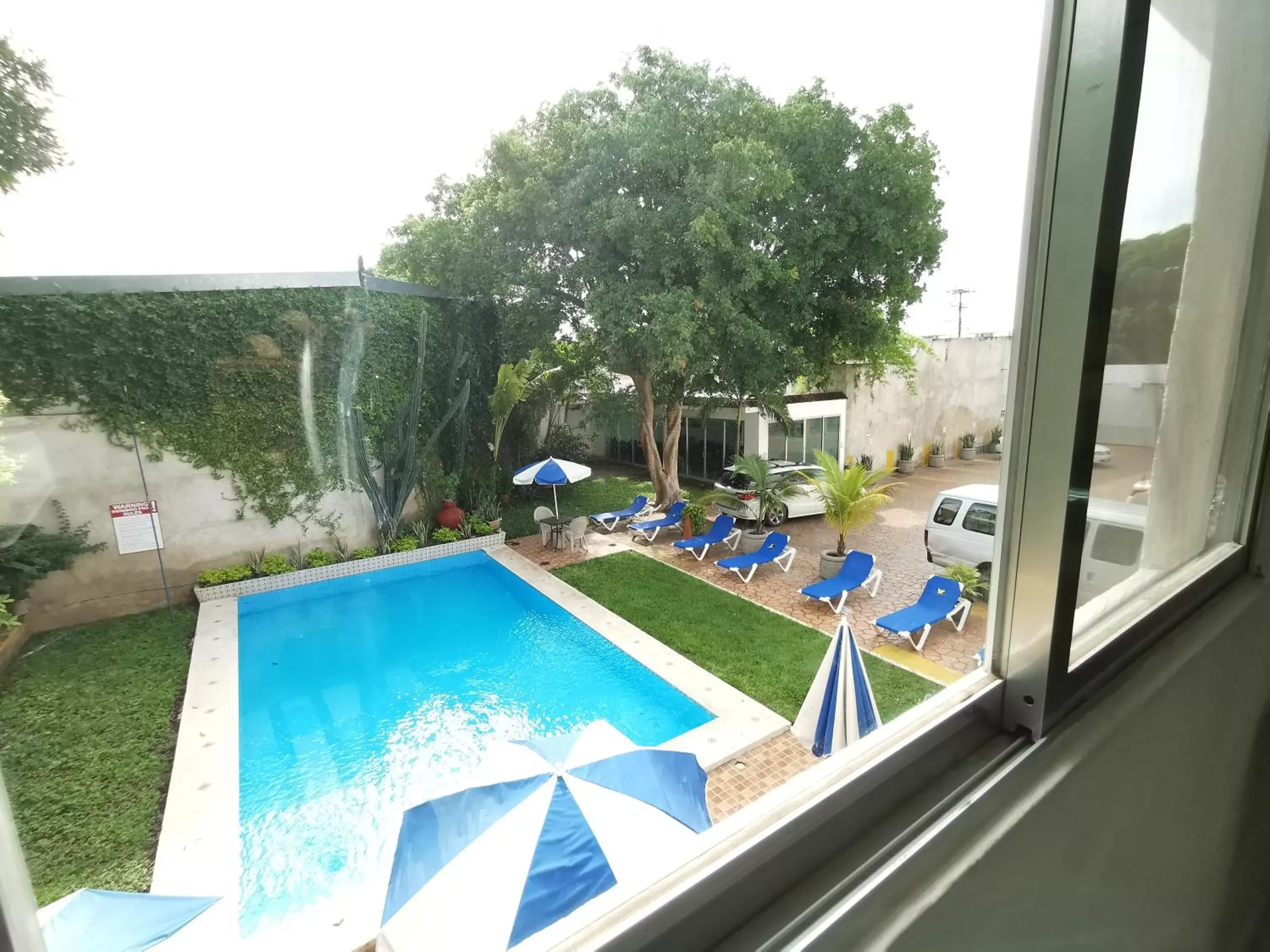 Garden view, Swimming Pool in Hotel Las Dalias Inn