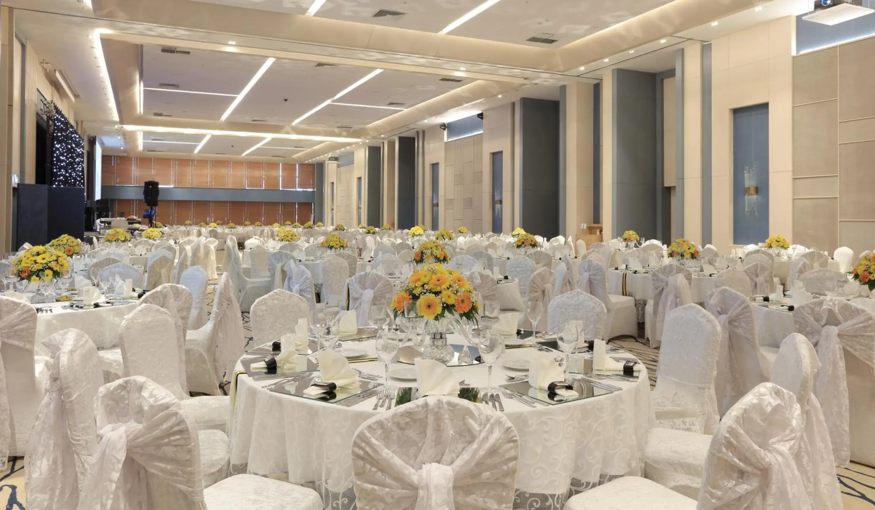 Entertainment, Banquet Facilities in The Ankara Hotel