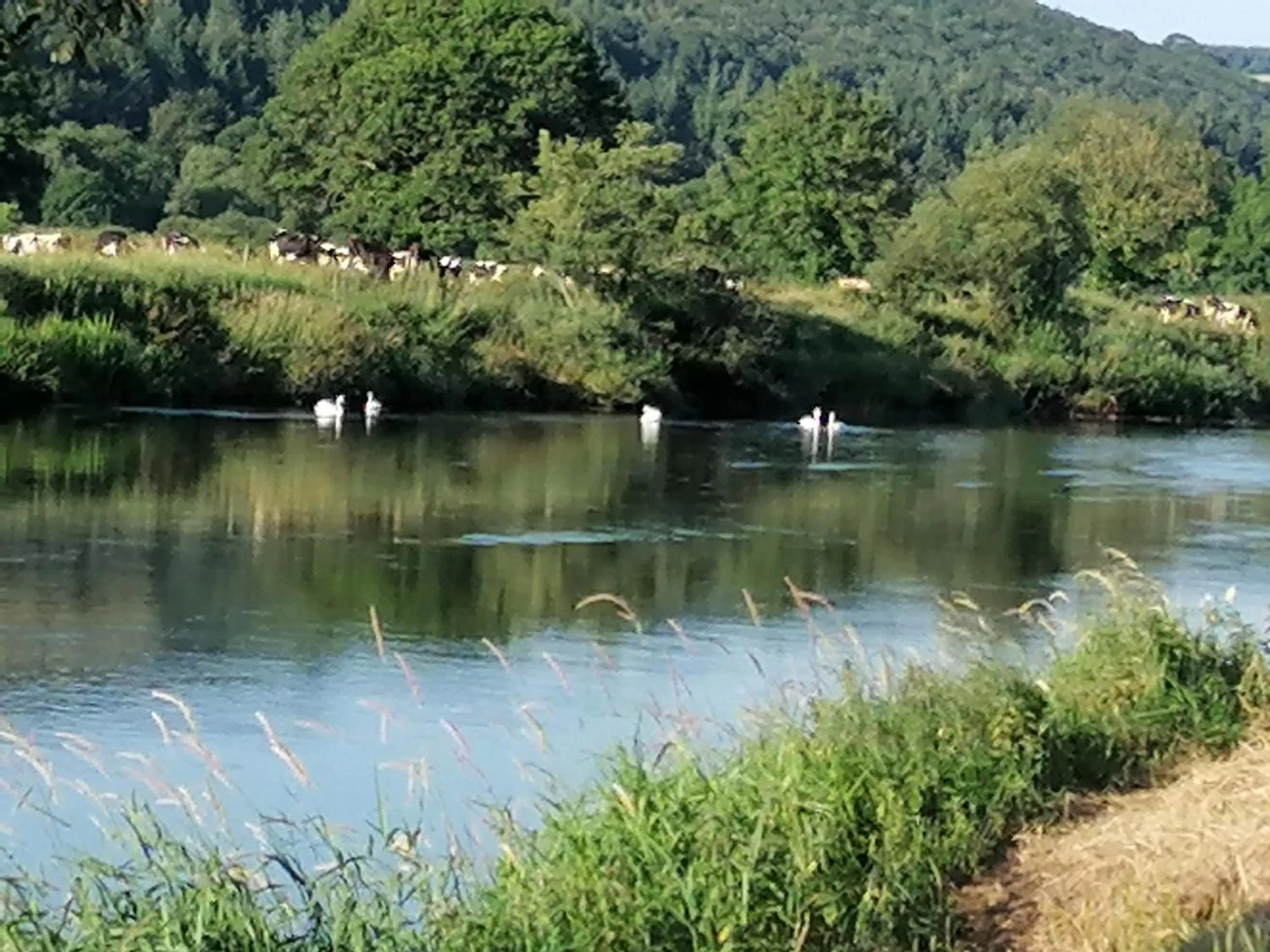 Cable Island Bed and Breakfast