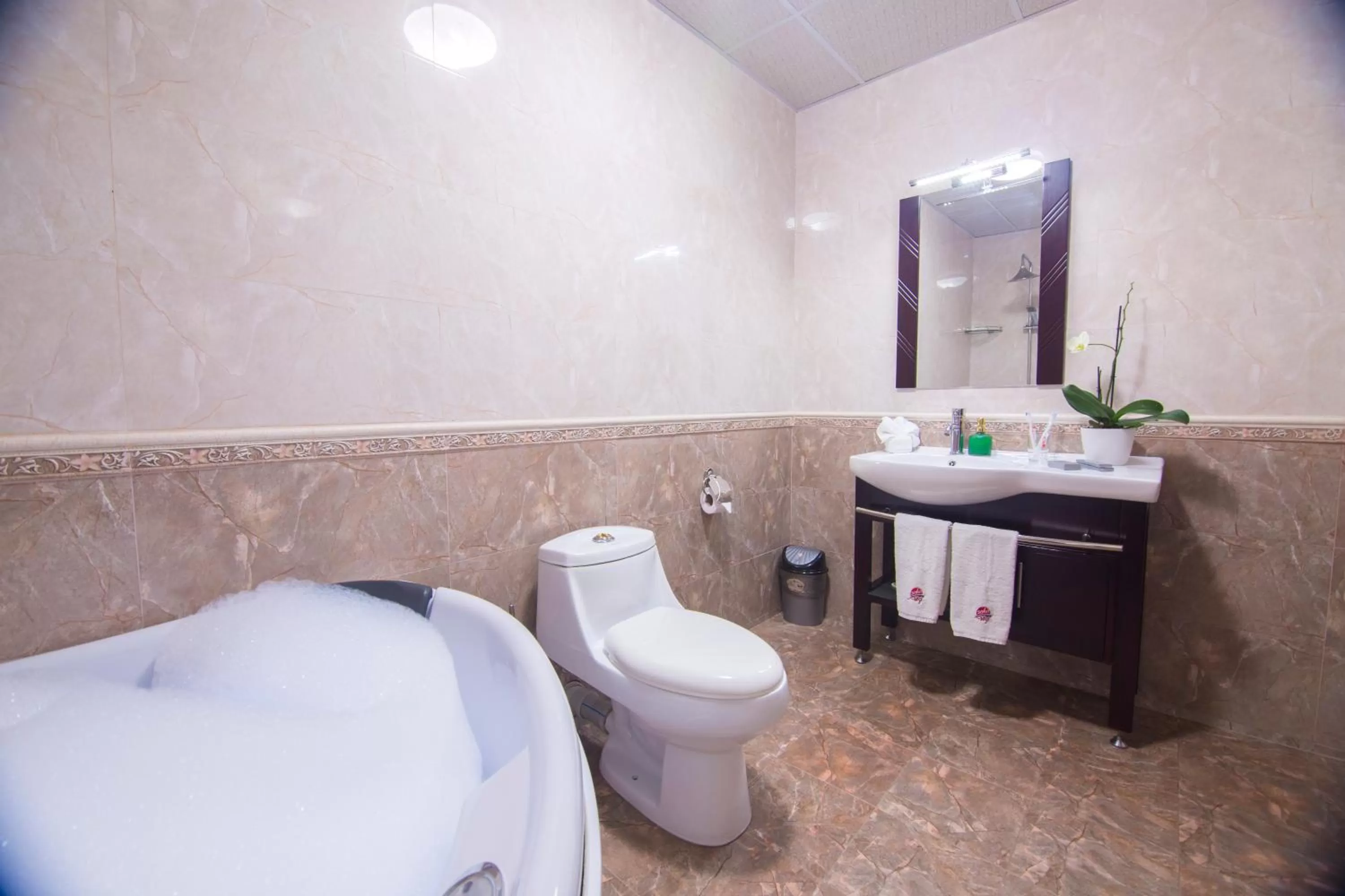 Bathroom in Hotel Aisi